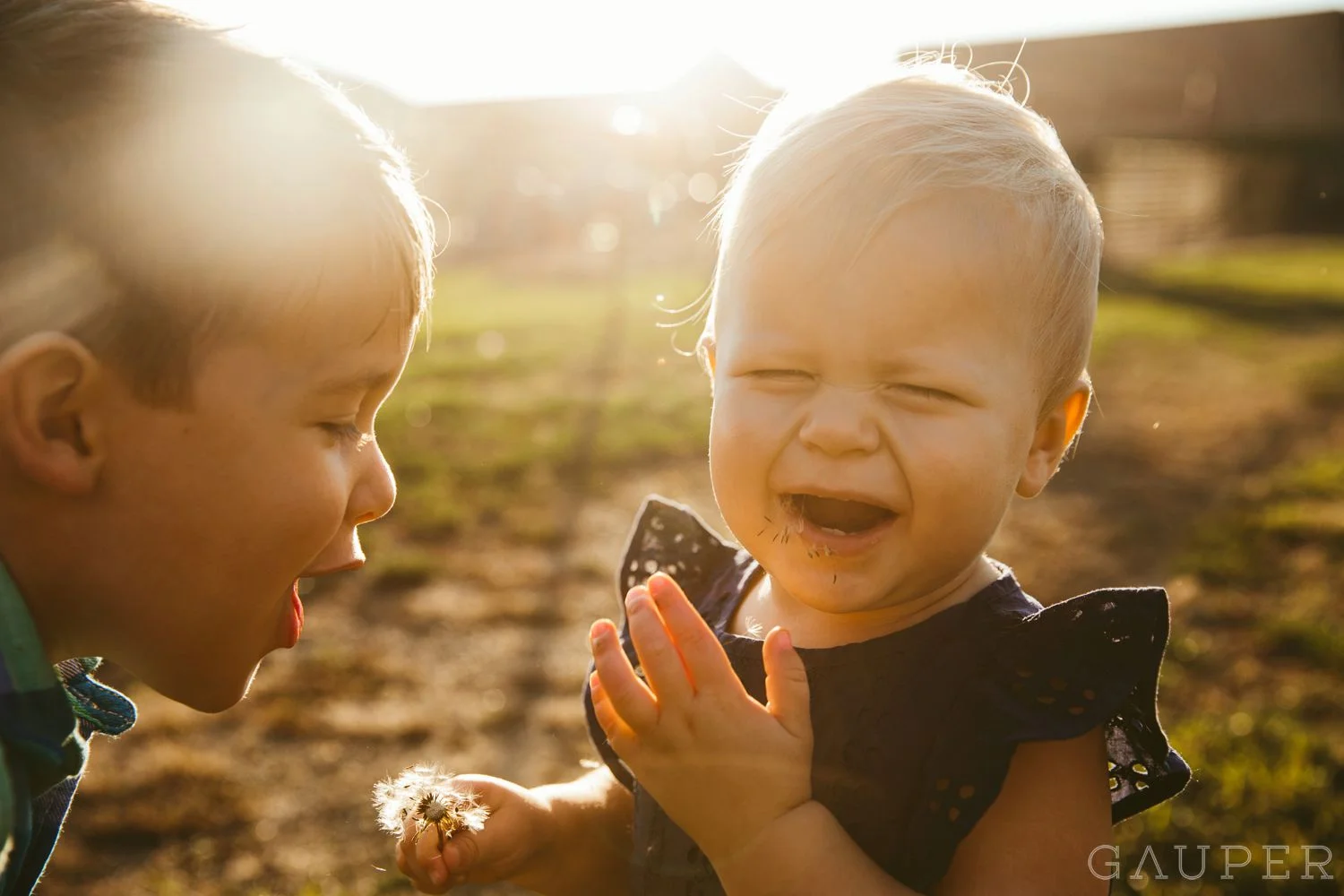 The Foster Family // Kalamazoo Family Photographer