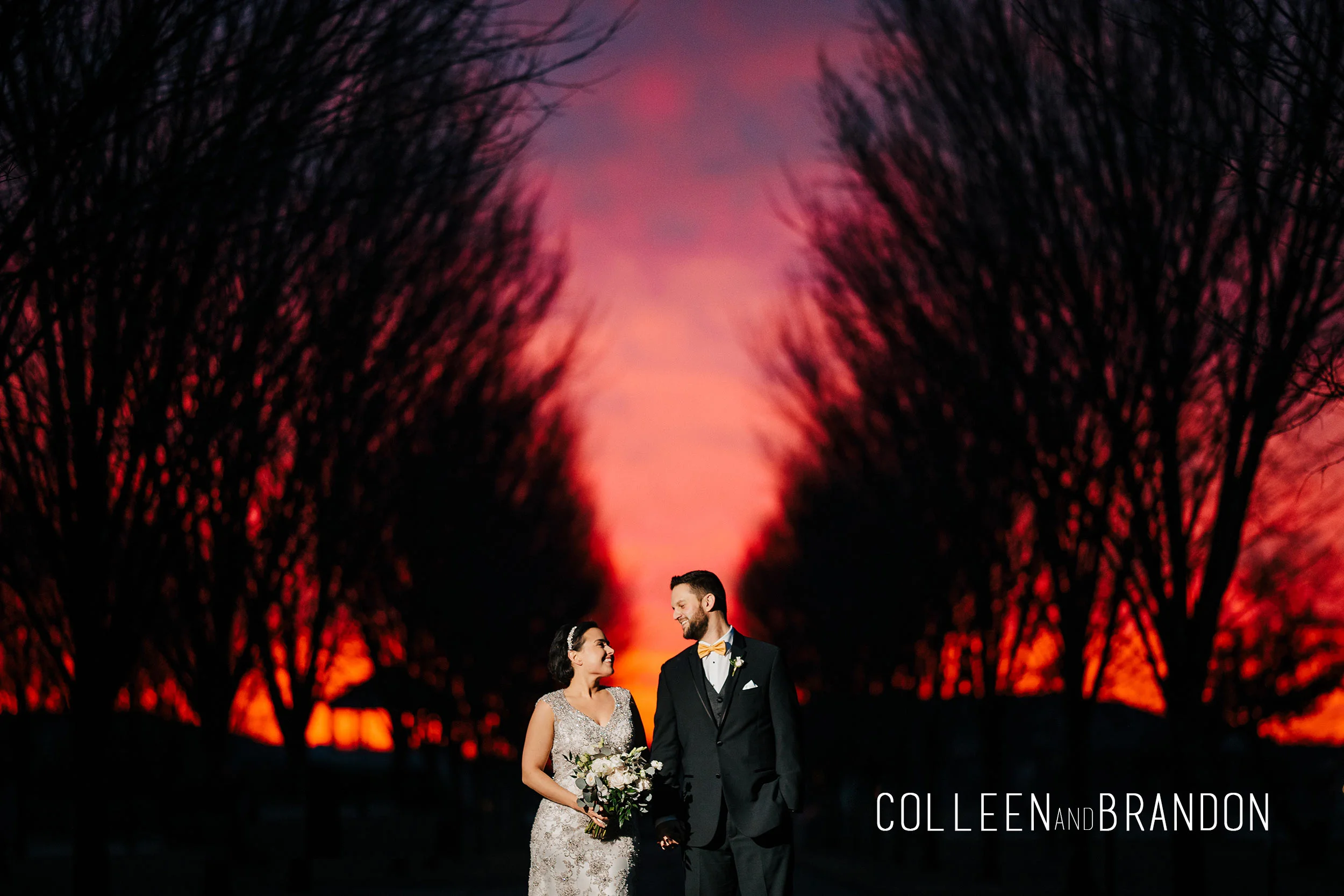 Colleen &amp; Brandon // Packard Proving Grounds Wedding Photographer 