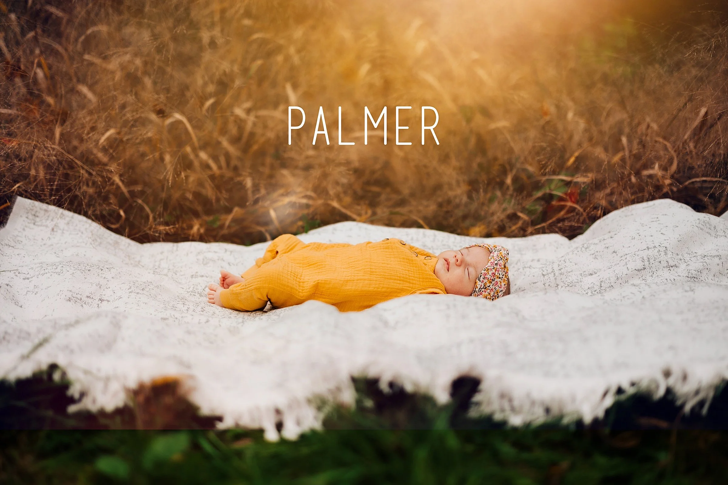 Palmer // Grand Rapids Newborn Photographer