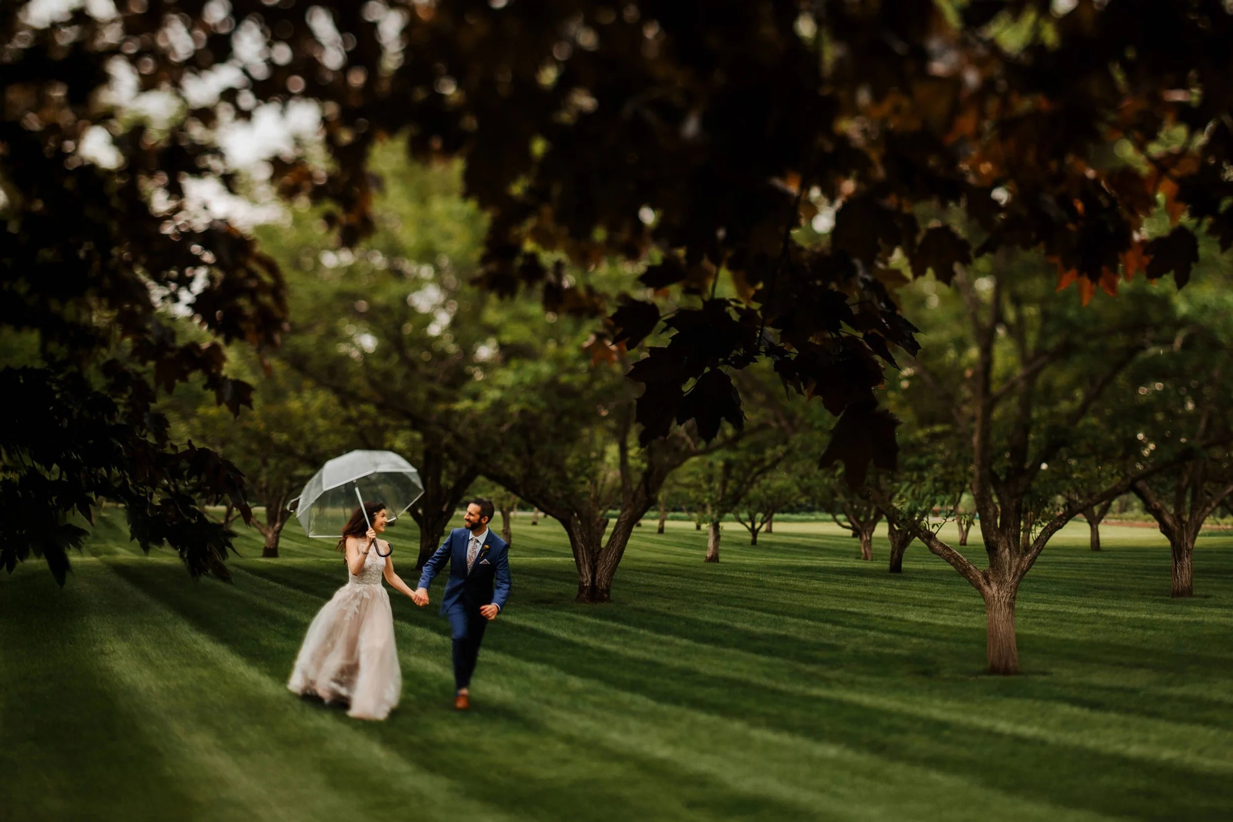 GAUPERphoto Berrien Springs Michigan backyard wedding bride and groom walking through orchard with clear umbrella, best documentary wedding photography Southwest Michigan