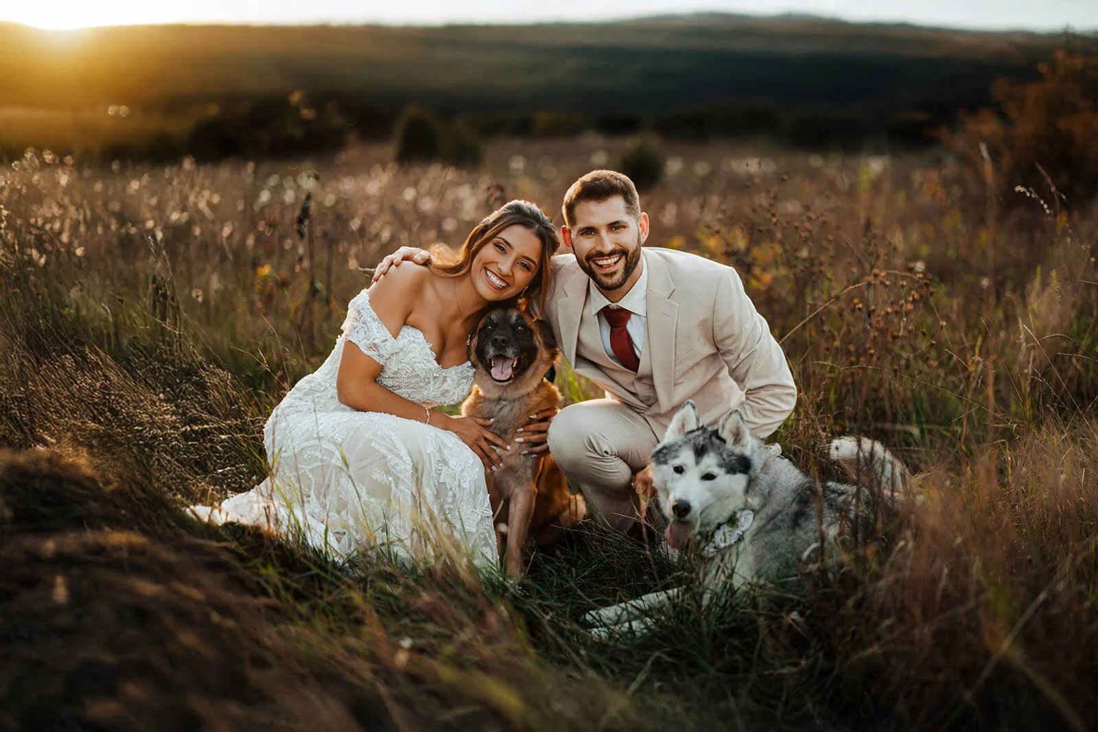 Woodland Weddings photographer Crystal Michigan bride and groom with two dogs smiling in golden sunset field, top Michigan wedding photography GAUPERphoto