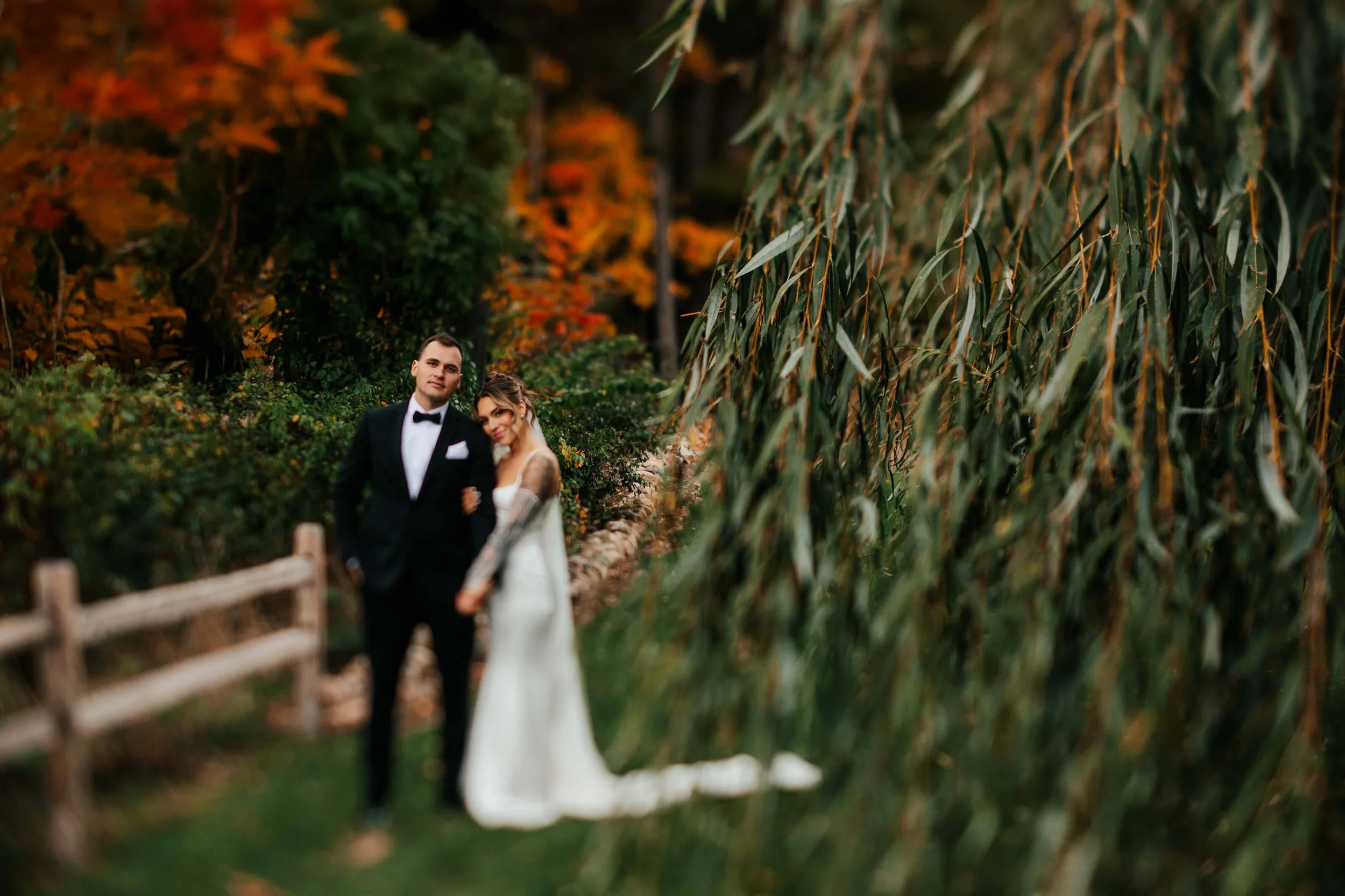 Westers Family Vineyard wedding photographer Jackson Michigan bride and groom by willow tree with fall foliage and split rail fence, best Michigan winery wedding photography