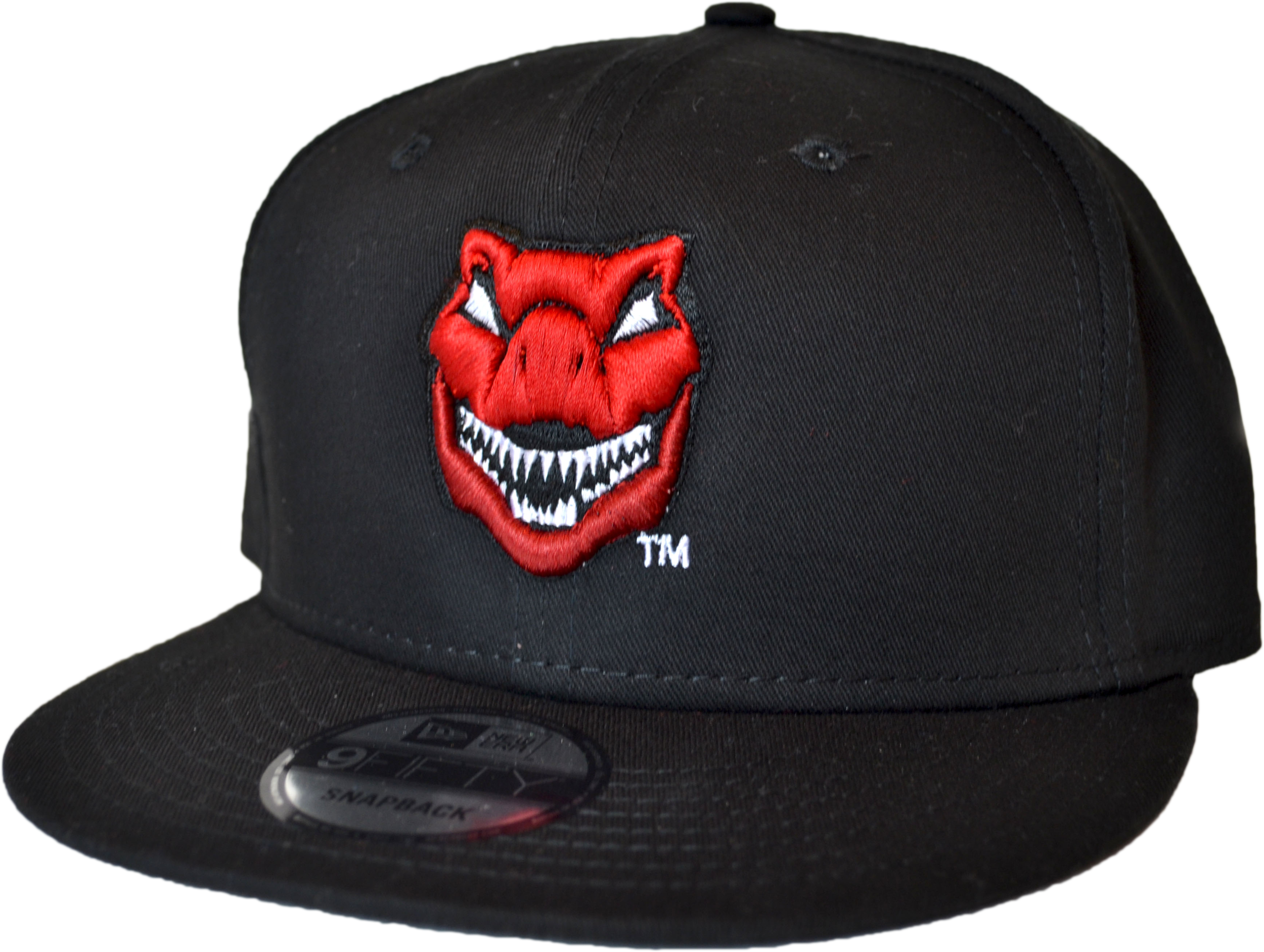 Raptor Logo NEW ERA Snapback — The 