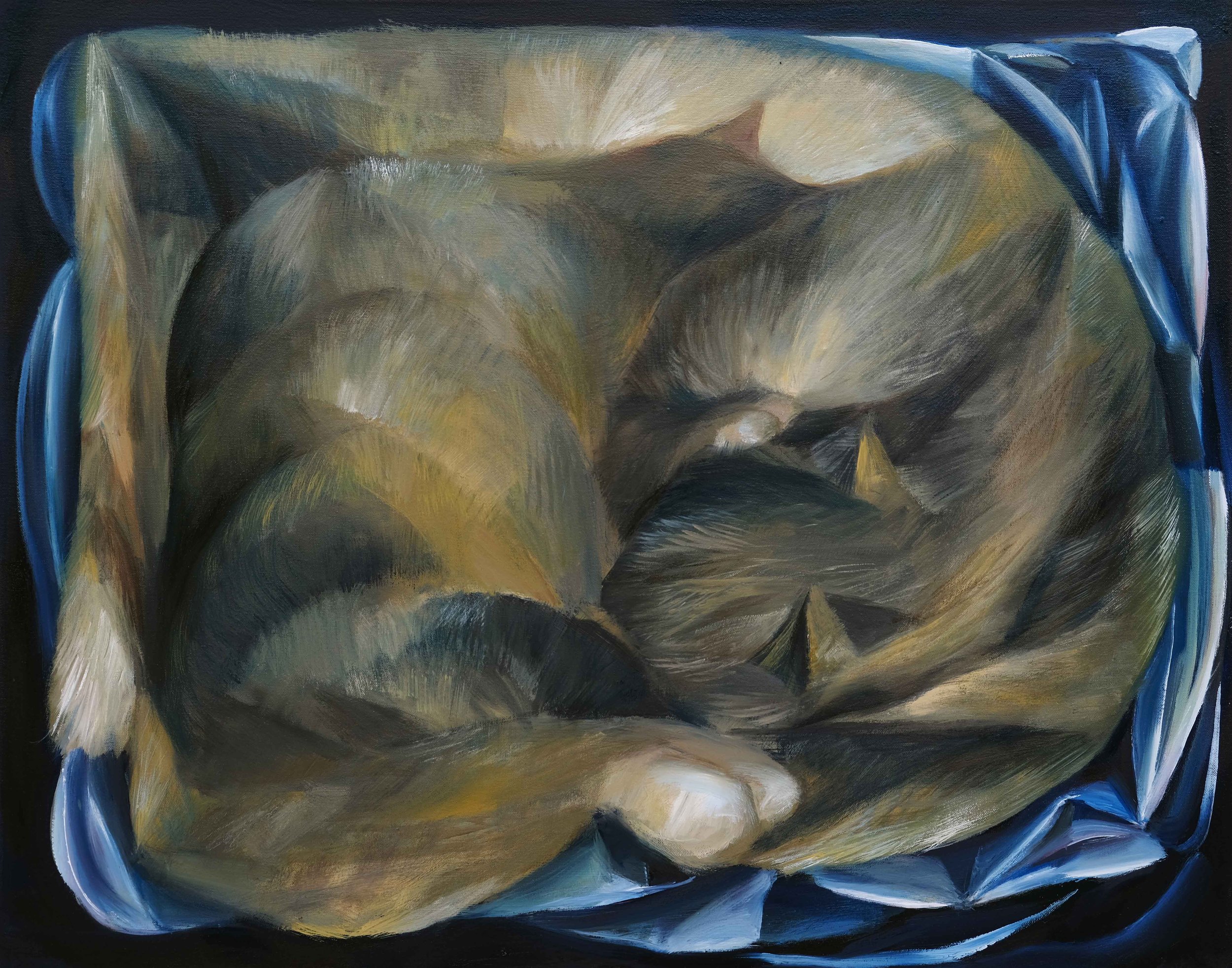   Nap  (2022) oil on canvas, 76 x 61cm 