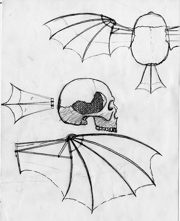 They Looked to the Skys with Envy Sketch