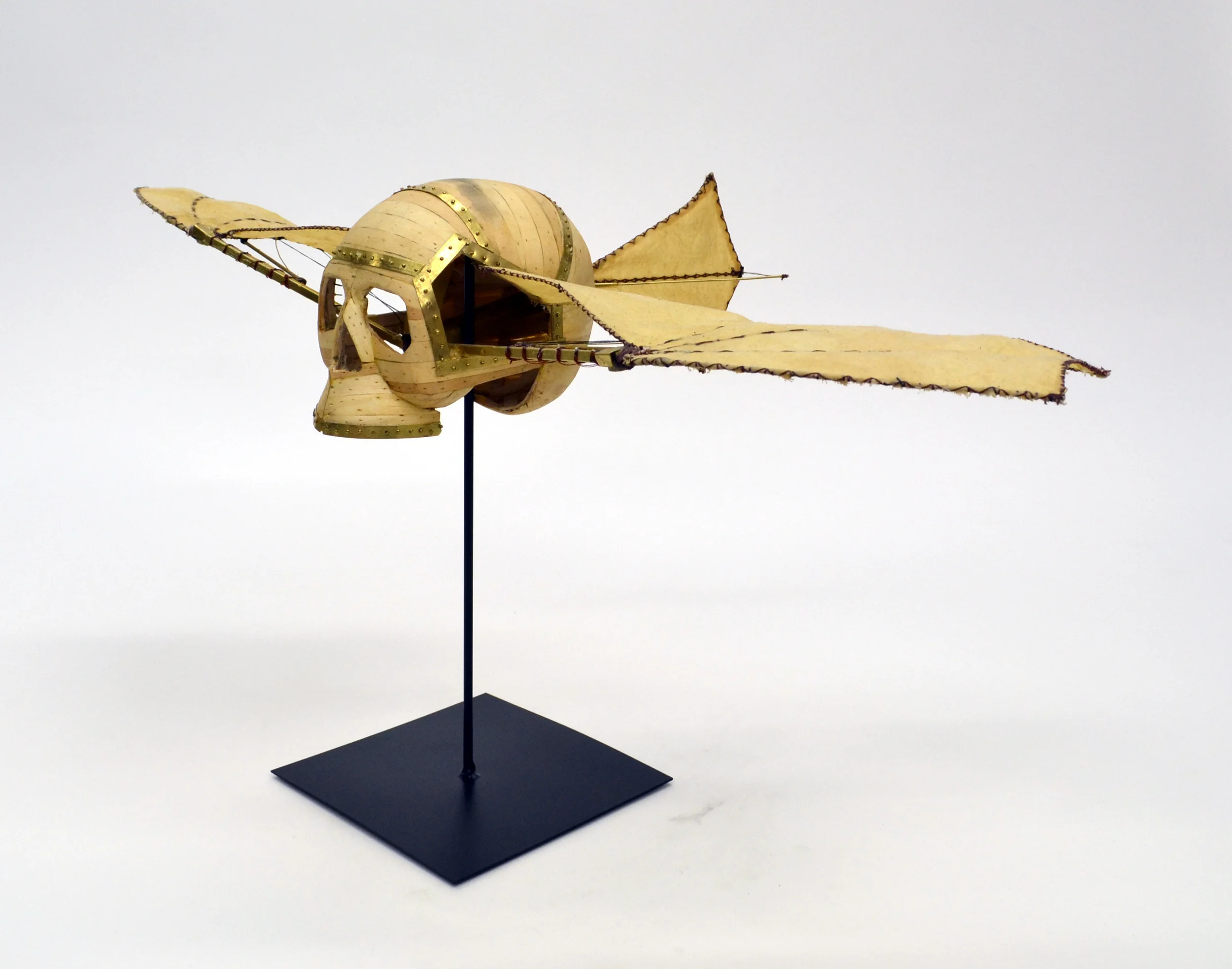 They Looked to the Skys with Envy