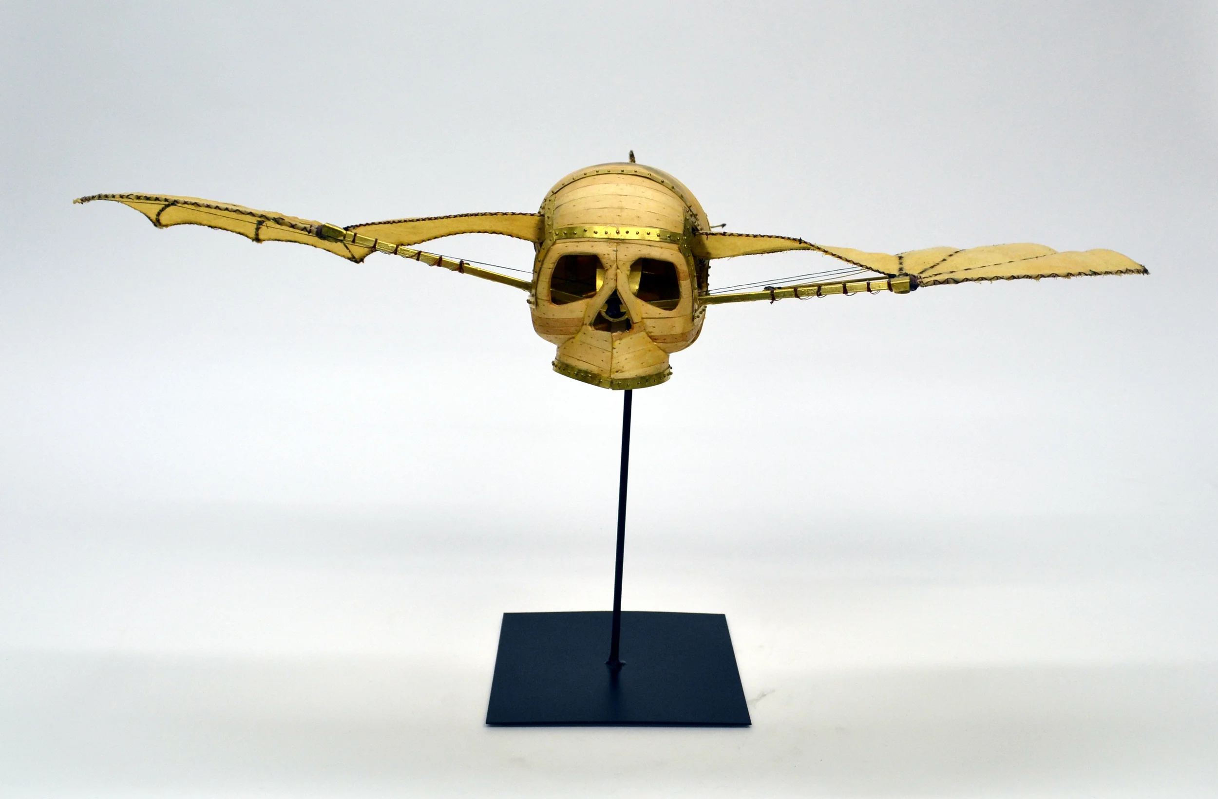 They Looked to the Skys with Envy