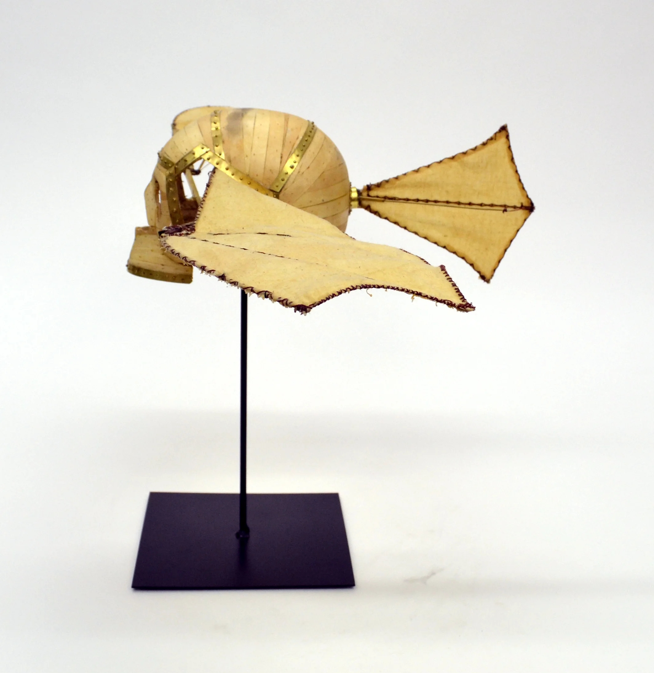 They Looked to the Skys with Envy