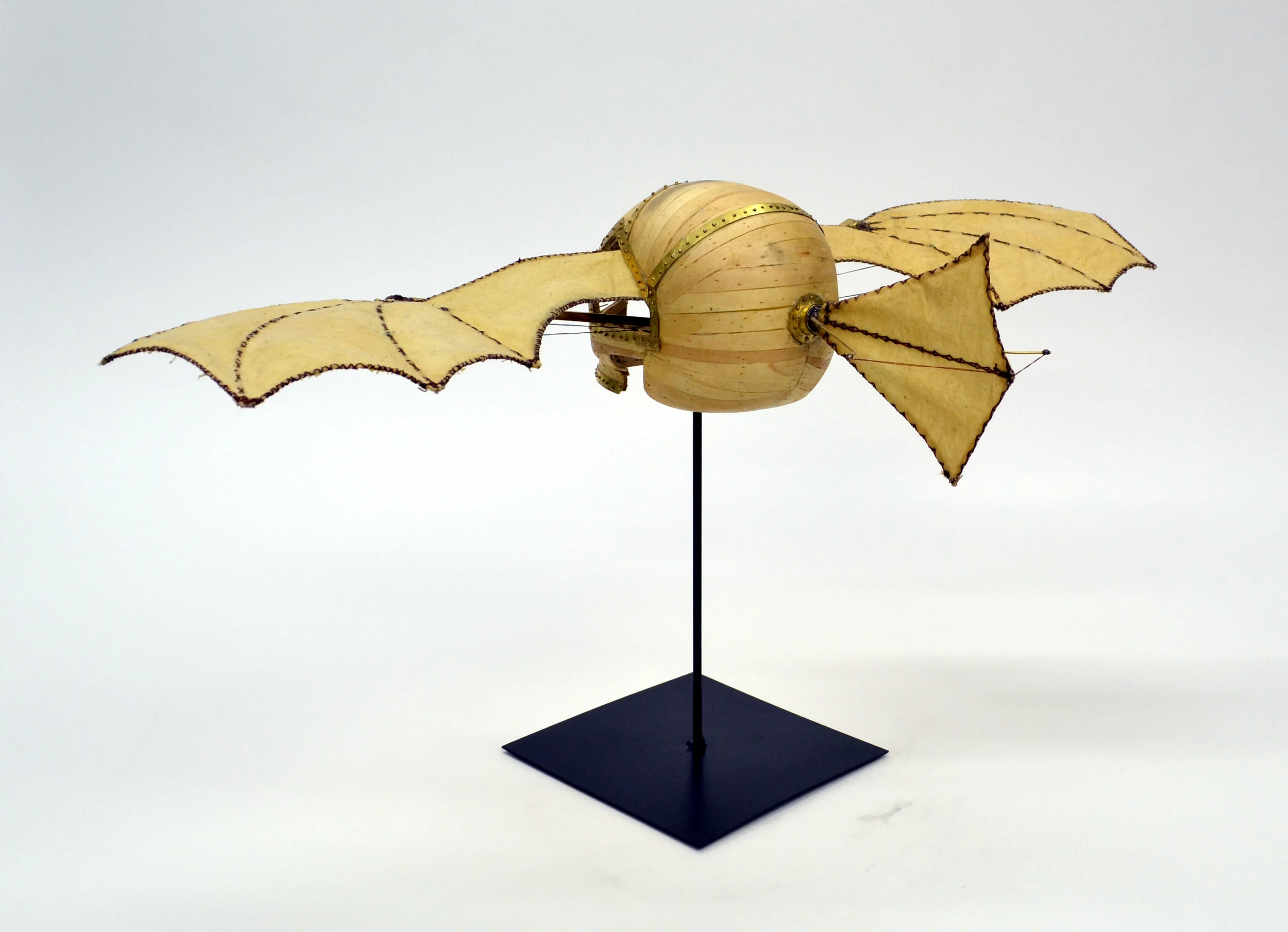 They Looked to the Skys with Envy