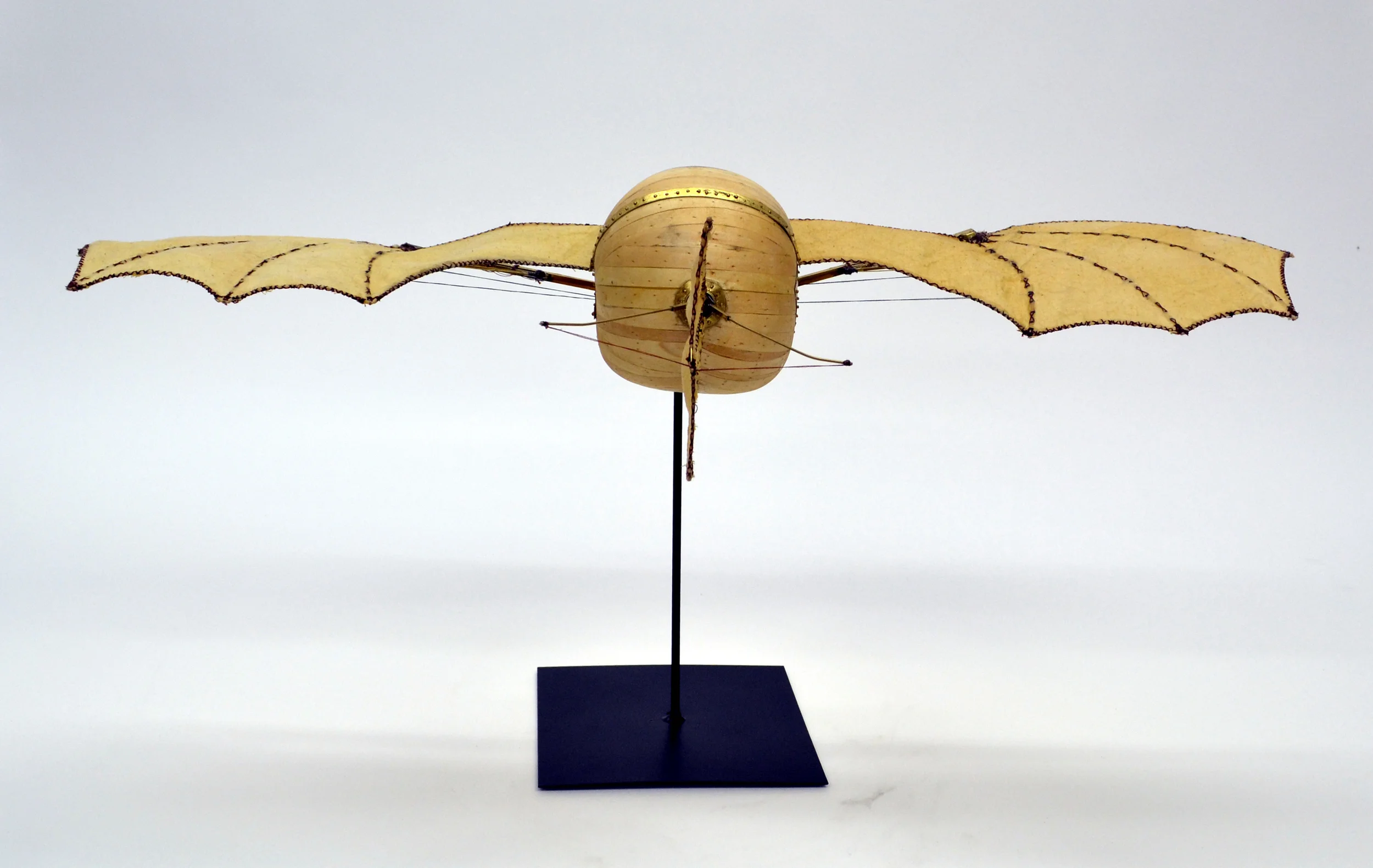 They Looked to the Skys with Envy