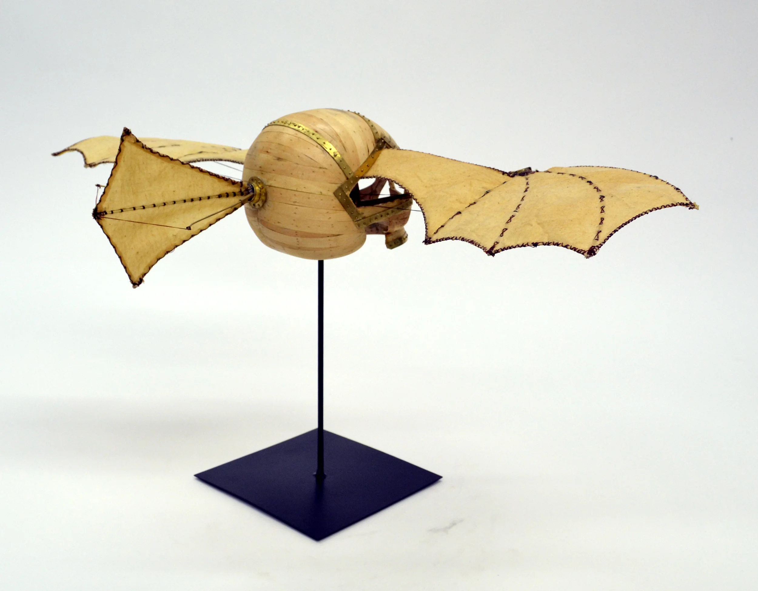 They Looked to the Skys with Envy