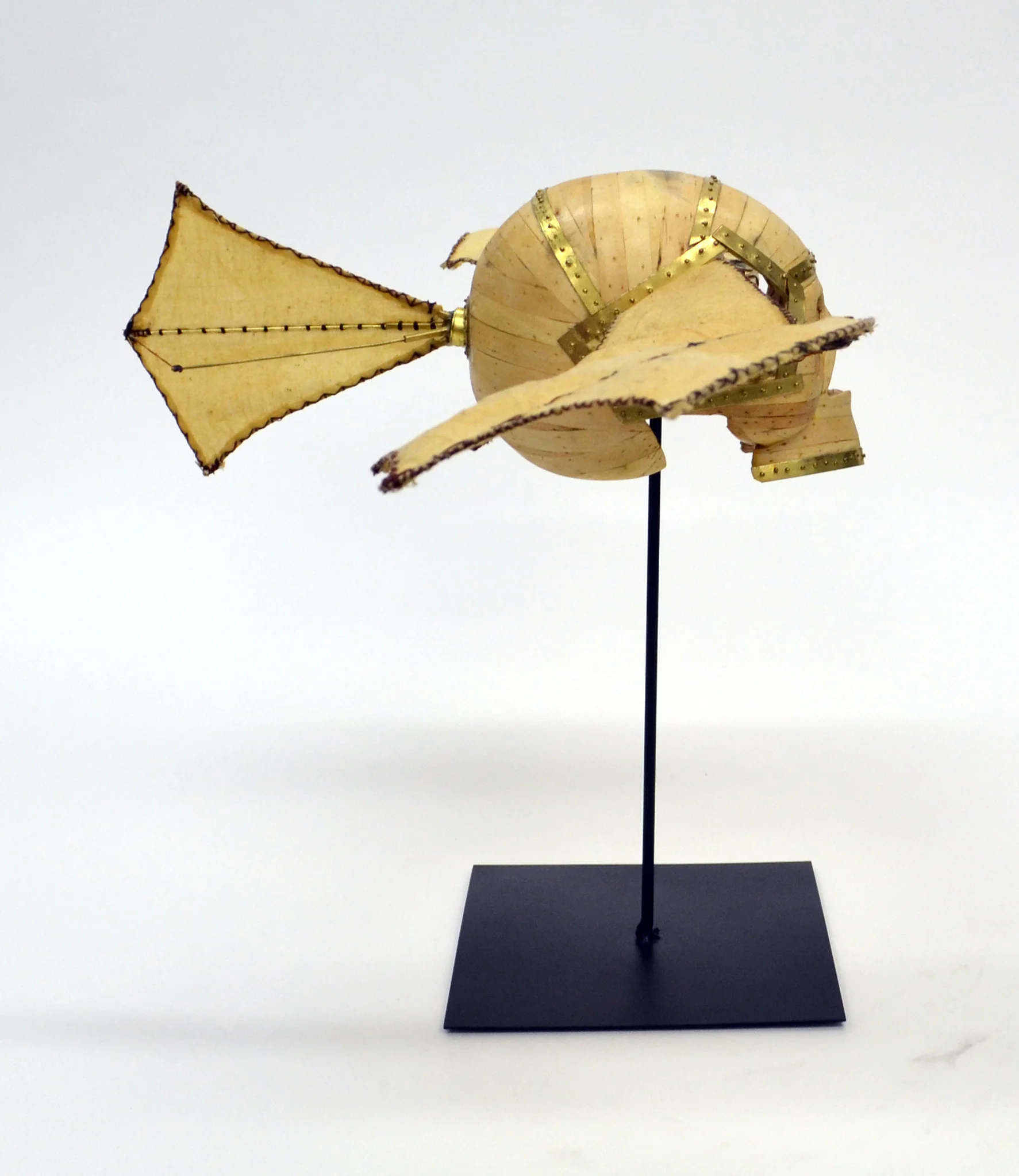 They Looked to the Skys with Envy