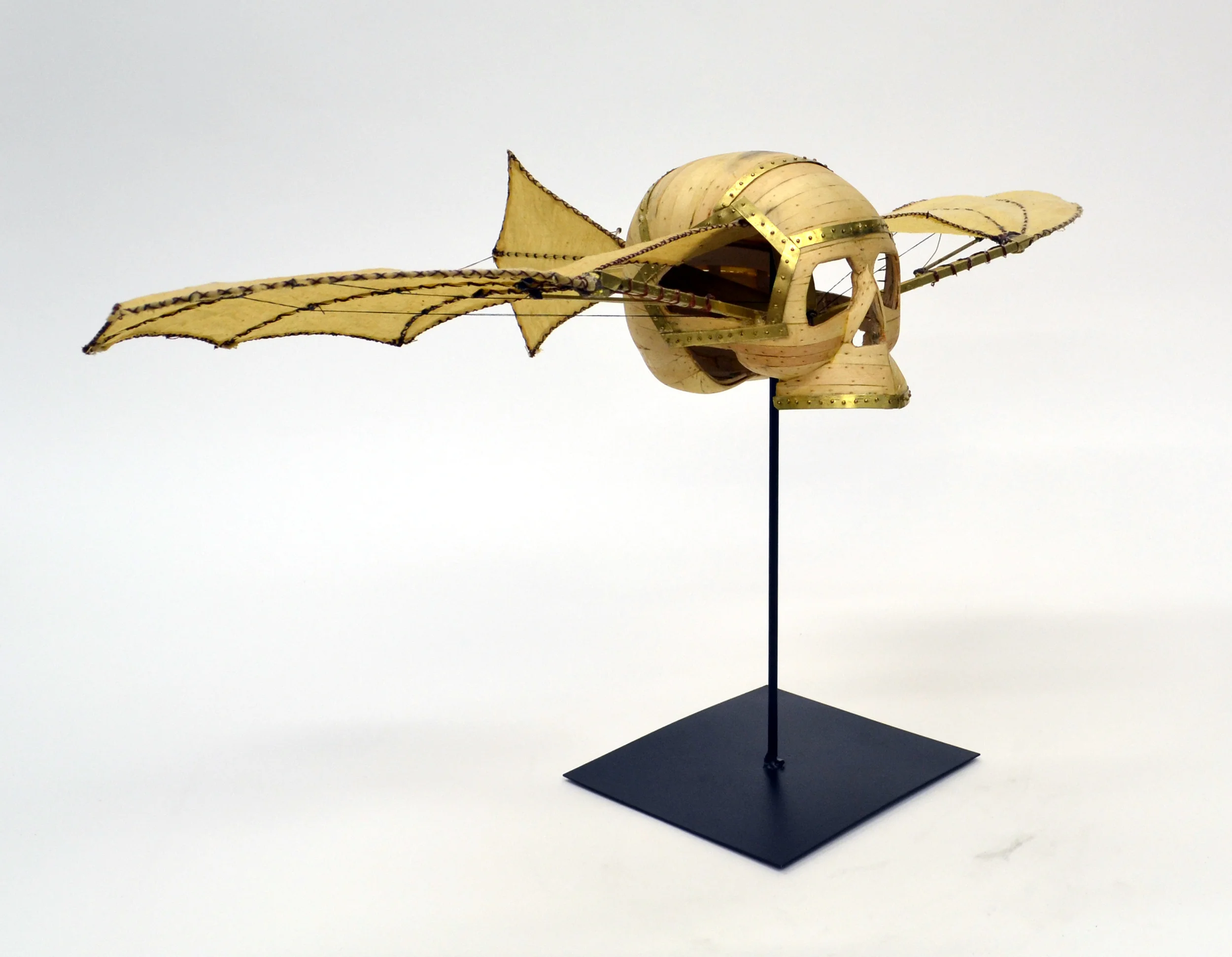 They Looked to the Skys with Envy