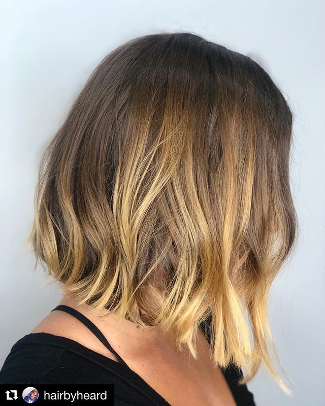 ✂️Cut by Clayvon✂️ @hairbyheard -
-
-
#hair #love #lob #olaplex #treatment #westla #usc #ucla #hairstyle #haircut #lob #blonde #babe #venice #marina #la #losangeles #culvercity #beachhair #beauty #goals #waves #curls #style