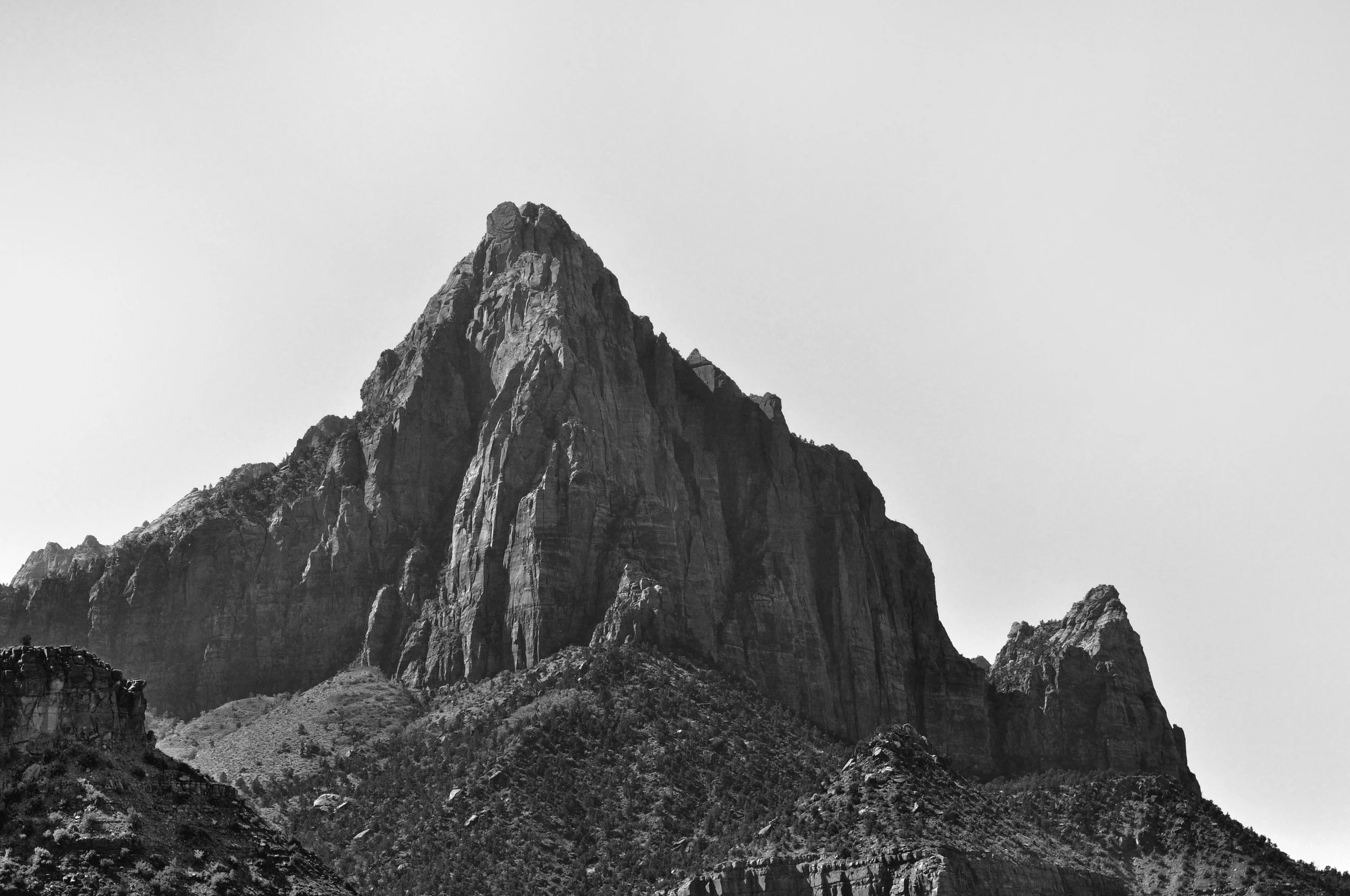 DSC_1174.jpg