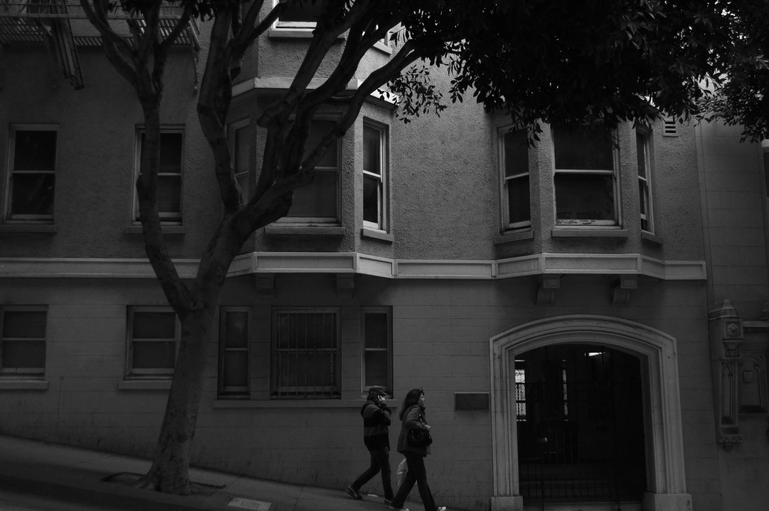 DSC_0835b.jpg