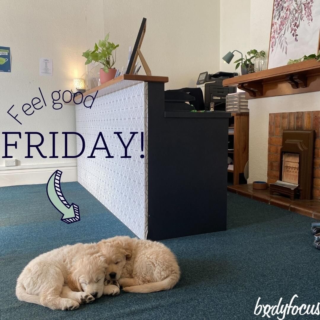 When puppies come to visit!!

A few weeks ago we were lucky enough that Reid bought in his gorgeous new additions to the clinic!

Nothing better than some puppy spam to make you smile on a Friday!

#bodyfocus #osteopathy #launceston #tasmania #allied