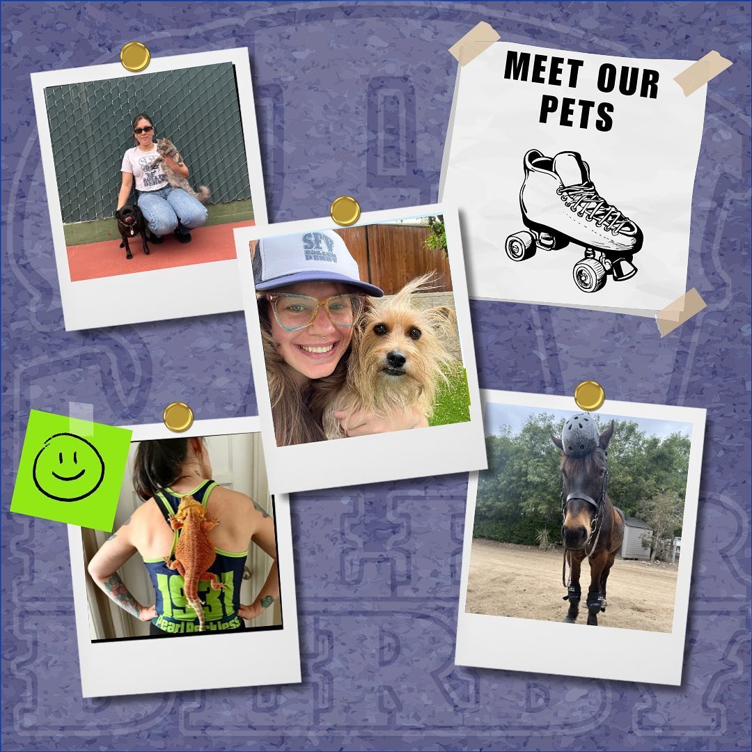 We have many Pet Parents here at SFV Roller Derby and they LOVE participating in Bout Day Preparations! 🛼 Keep an eye out for our stories and get a chance to share yours! 

#sfvrollerderby #sanfernandovalley #rollerderby #petparent #pet #petsofinsta
