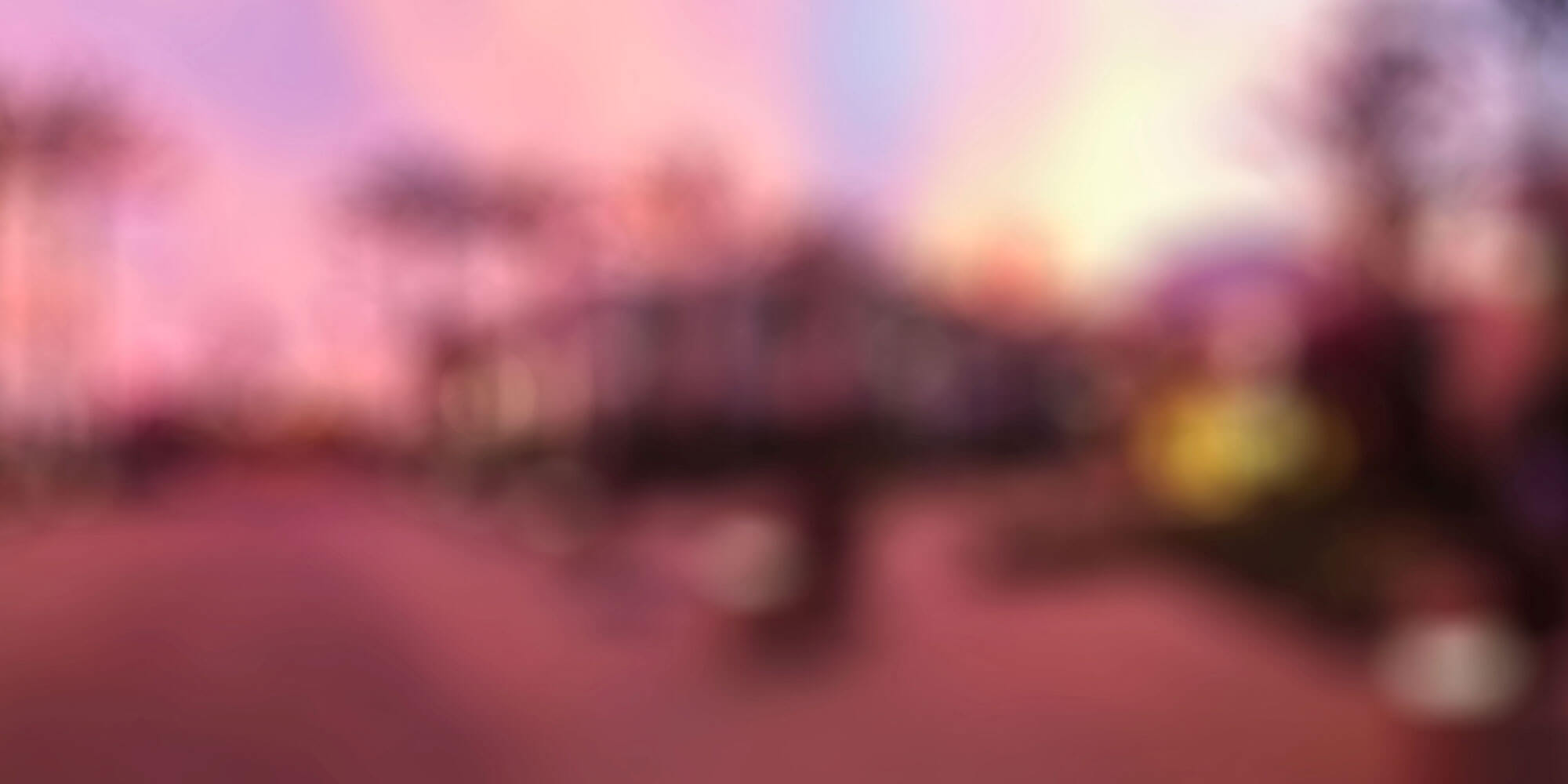 Mitchell-Background-3.jpg