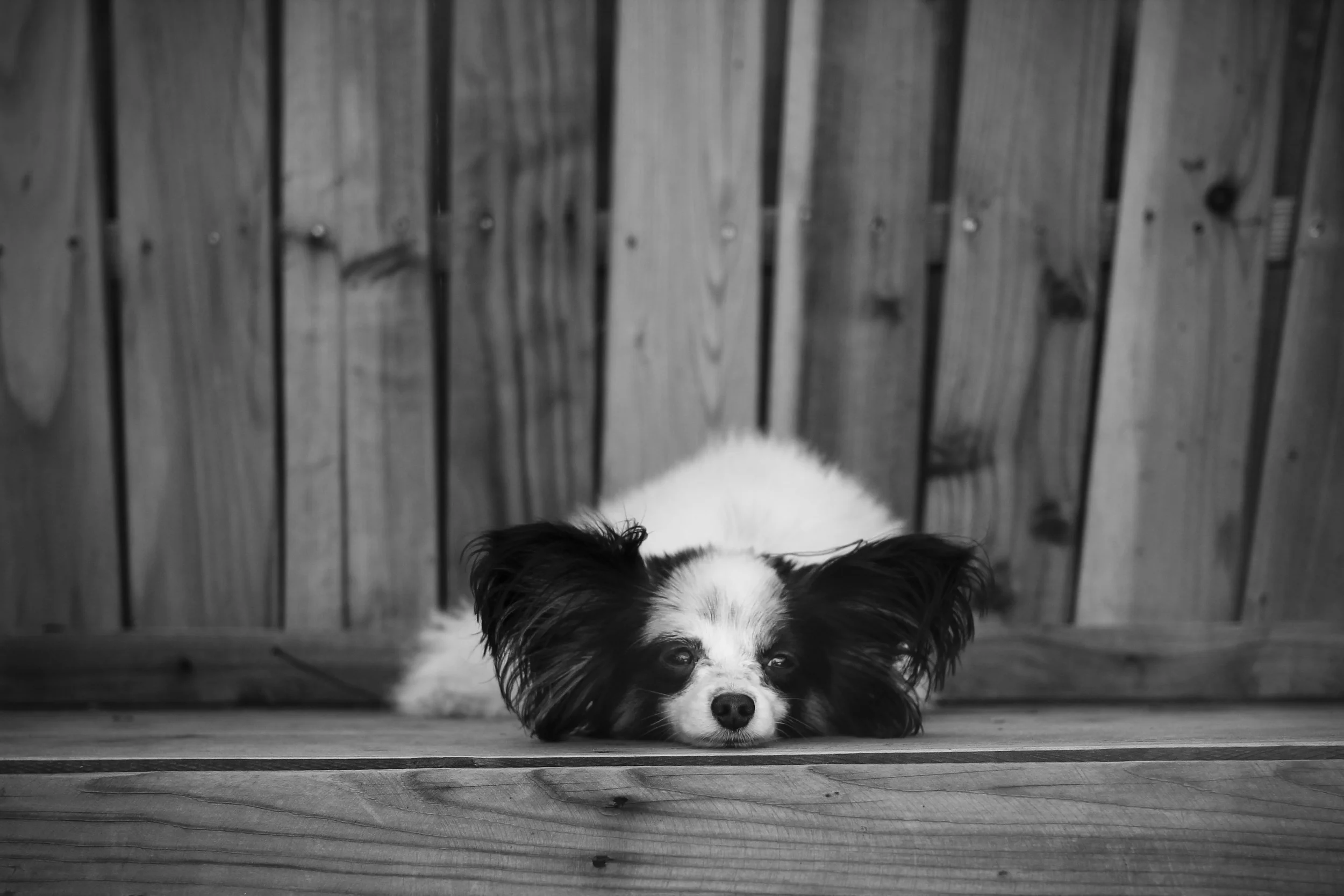 IMG_8281.jpg