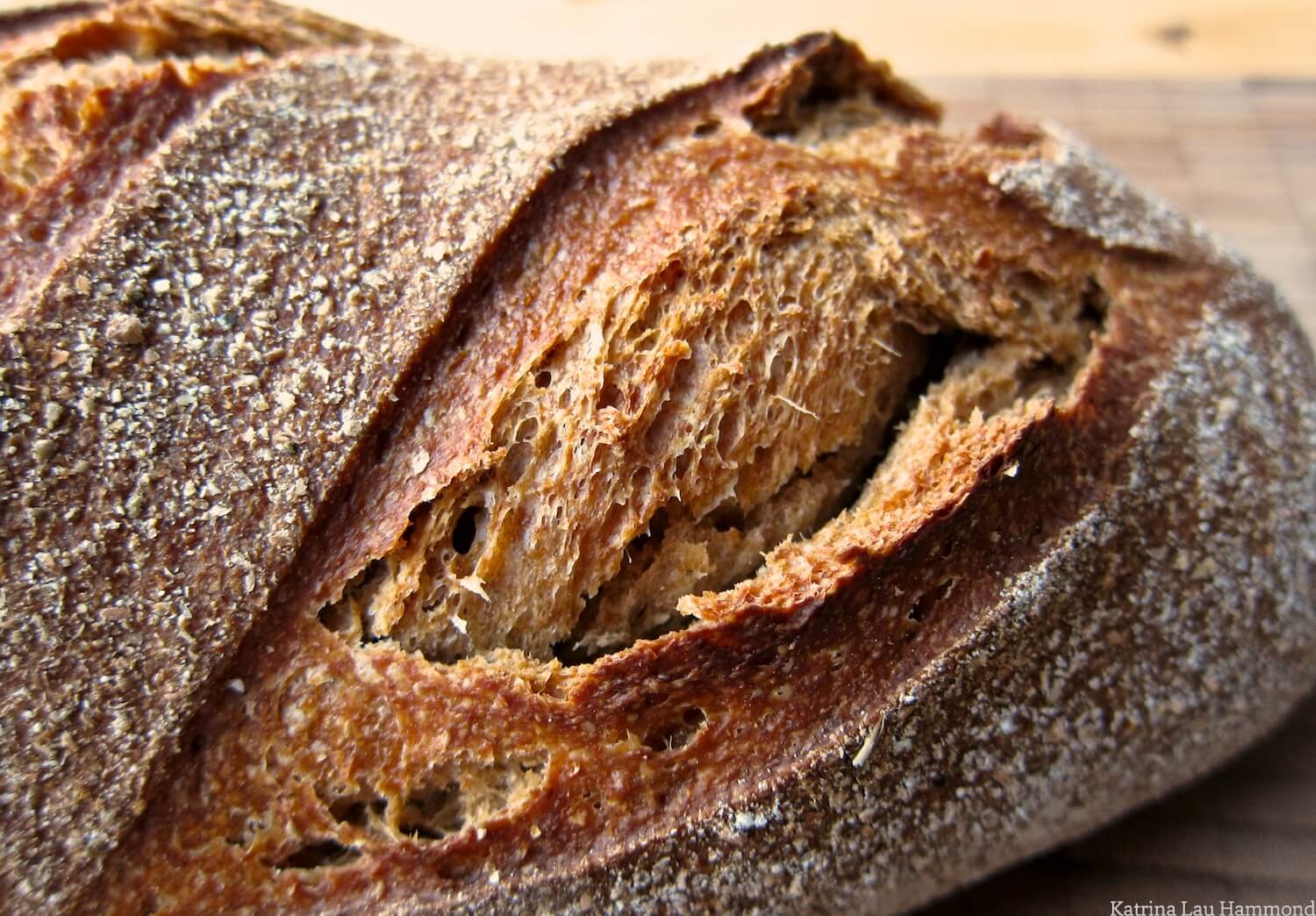 Bursting_bread_crust_KLH.jpg