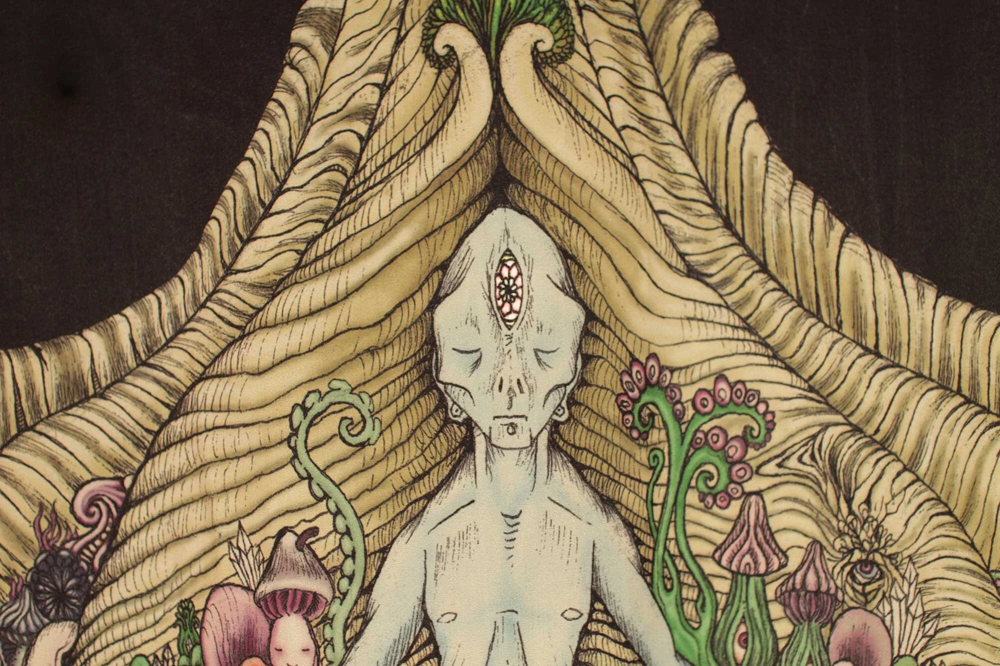 tree-closeup.jpg