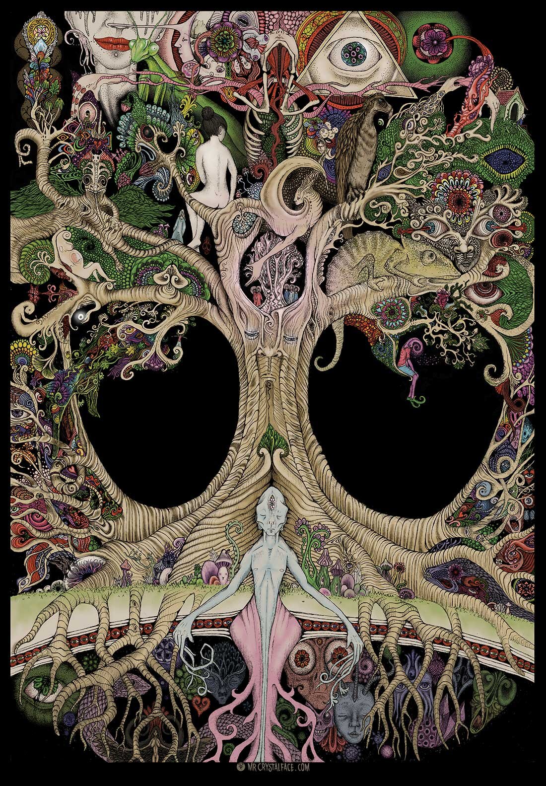 treeoflife-banner-image.jpg