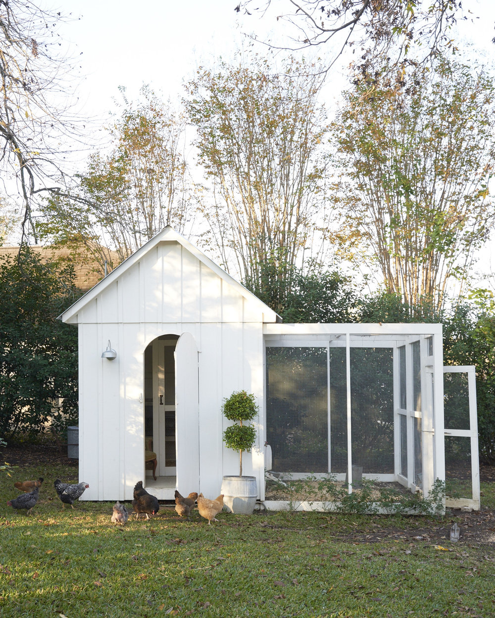 Simple Small Chicken Coop Plans