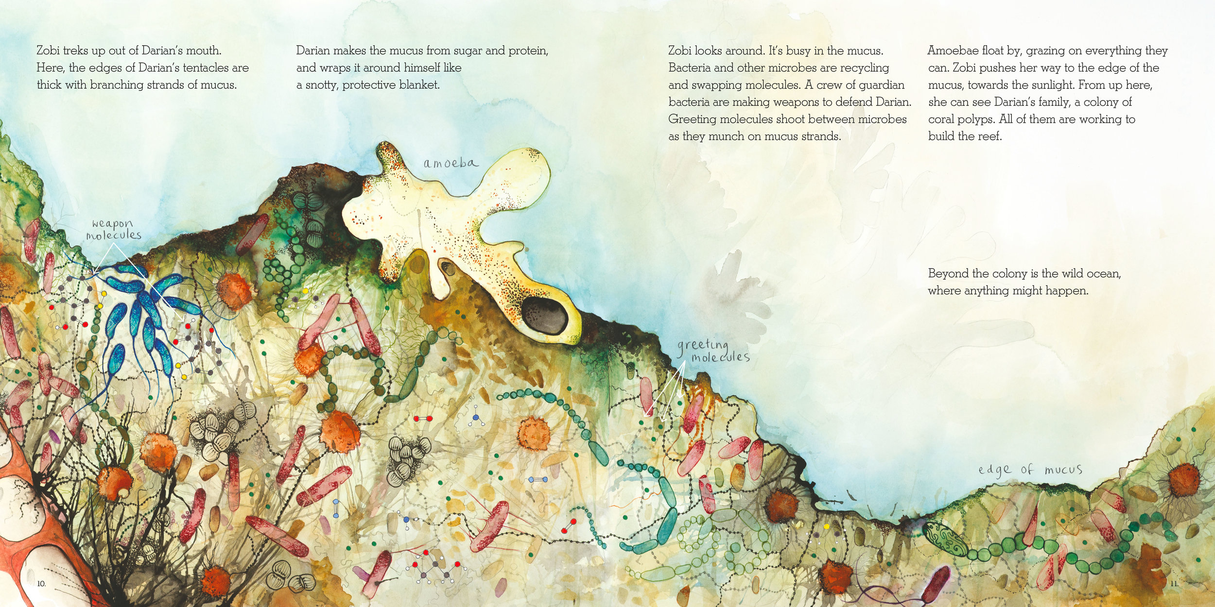  Selected pages from  Zobi and the Zoox . Written by Ailsa Wild, illustrated by Aviva Reed, created by Briony Barr &amp; Dr. Gregory Crocetti. Published by Scale Free Network in 2015. 