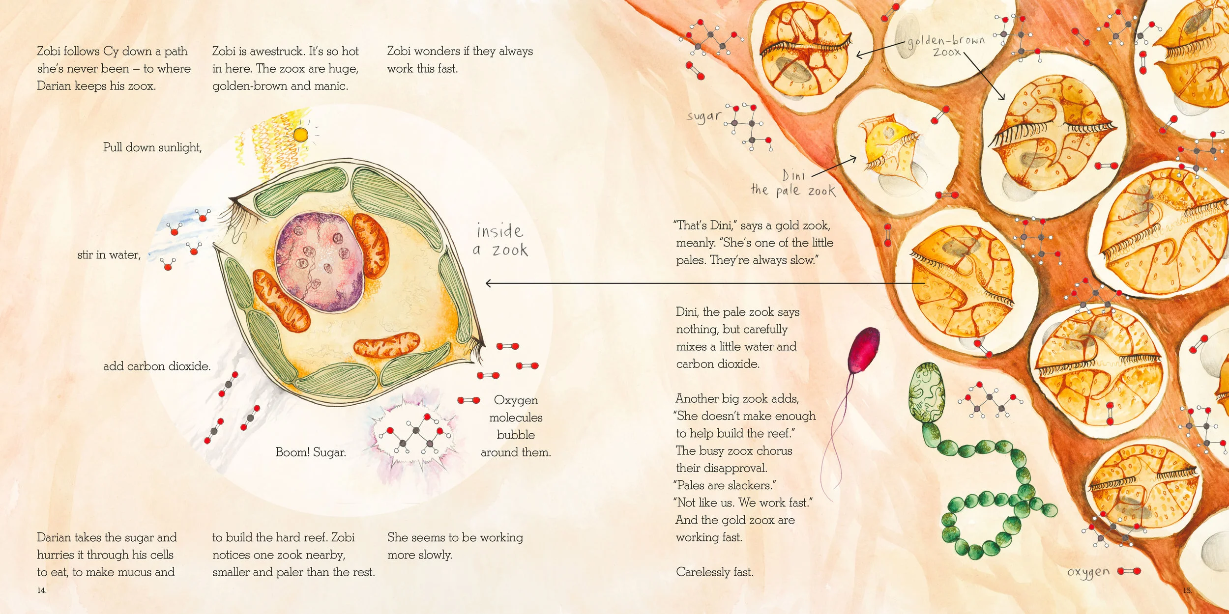 Selected pages from Zobi and the Zoox . Written by Ailsa Wild, illustrated by Aviva Reed, created by Briony Barr & Dr. Gregory Crocetti. Published by Scale Free Network in 2015.