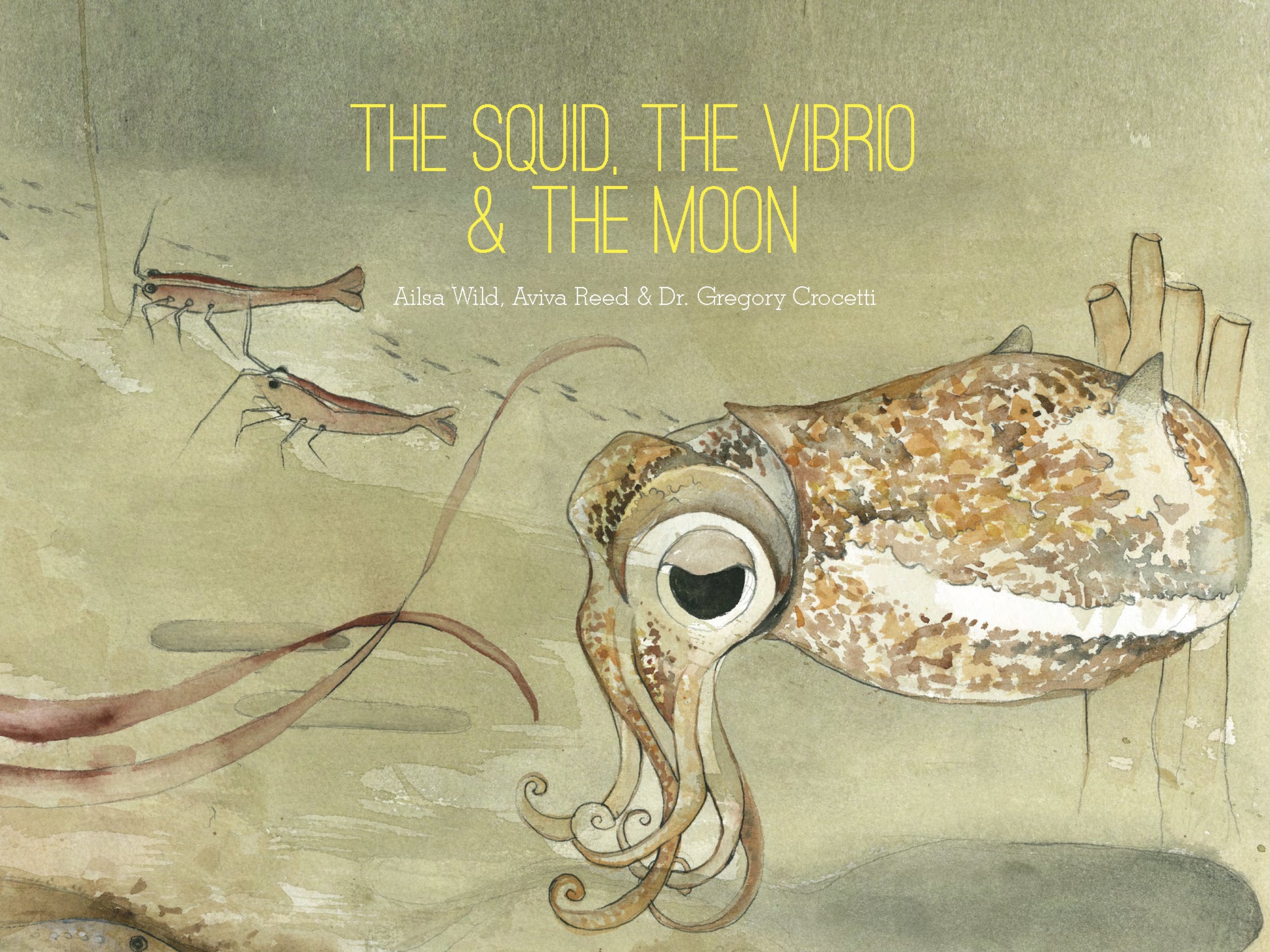 Cover of The Squid, the Vibrio & the Moon. Written by Ailsa Wild, Illustrated by Aviva Reed and Created by Dr. Gregory Crocetti. Published by Scale Free Network, 2014.