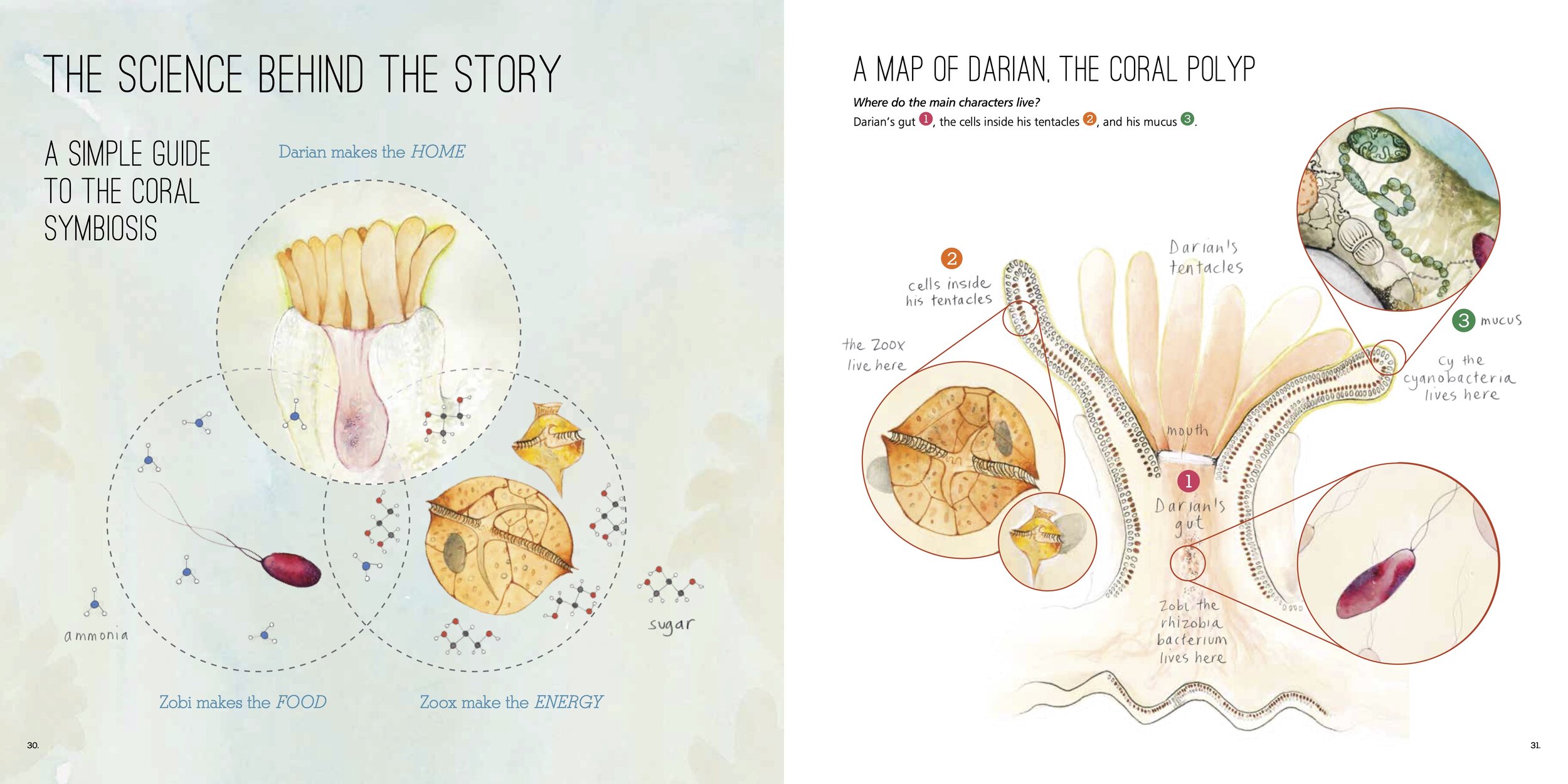 ZZ–Science-Behind-the-Story.jpg