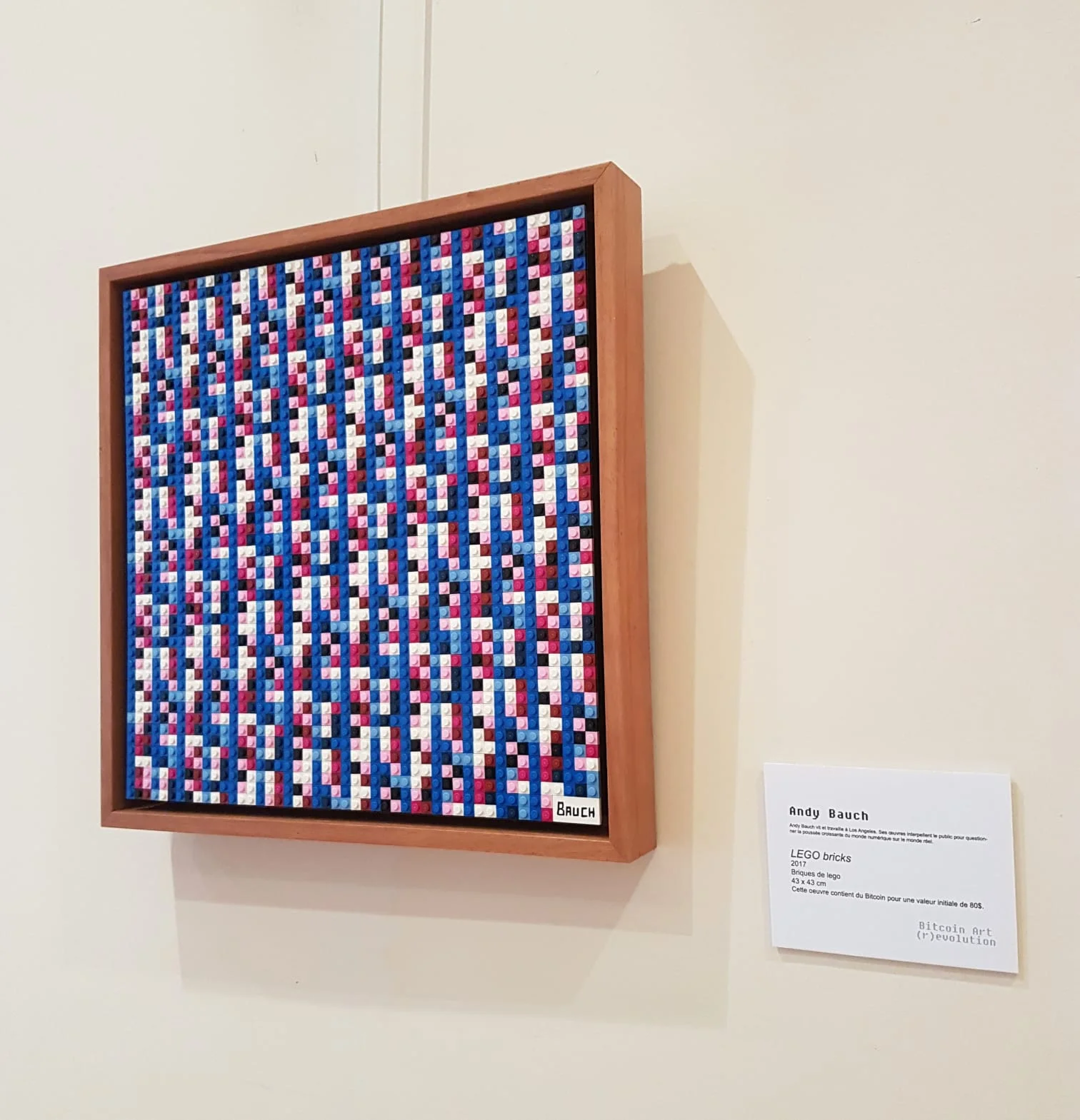 Bitcoin Art Revolution