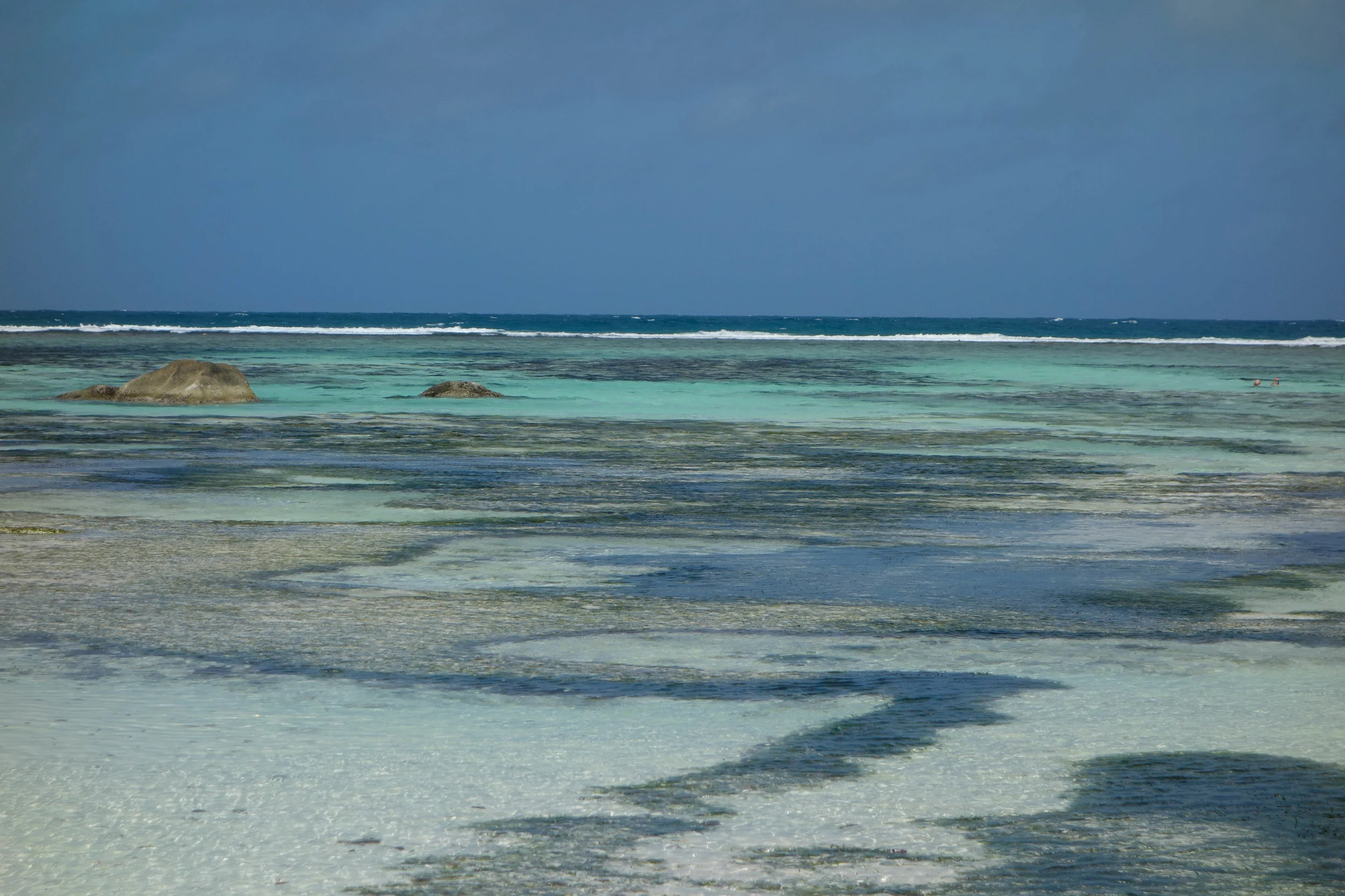 _DSC2273.jpg