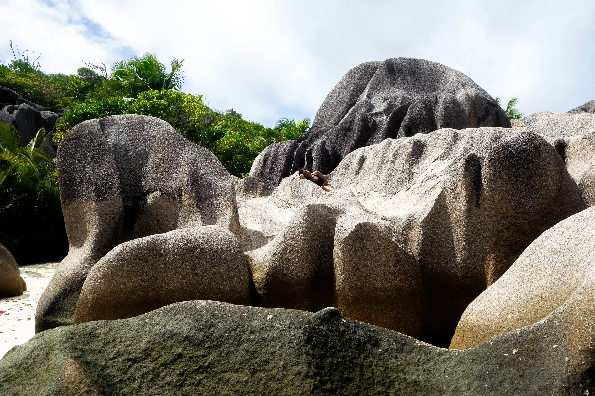_DSC2220.jpg
