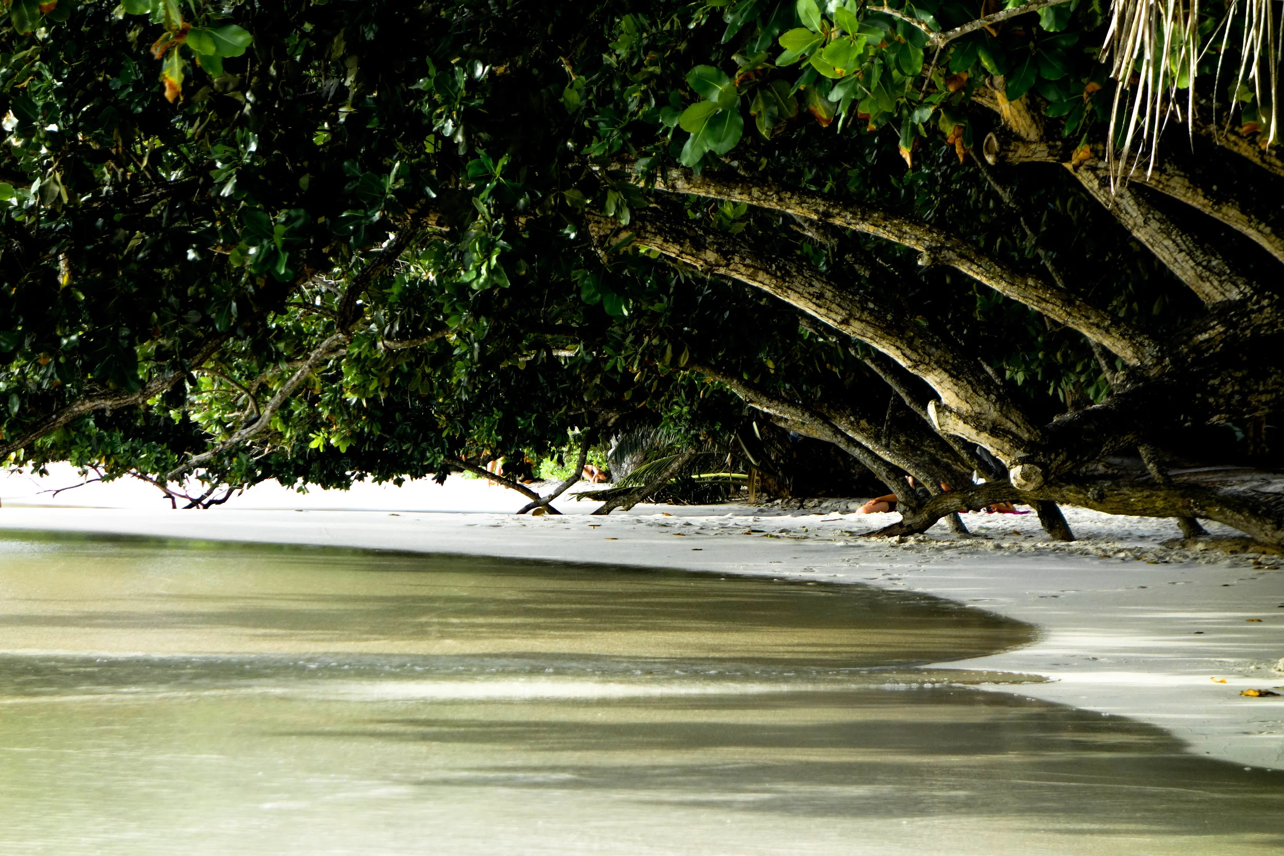 _DSC2003.jpg