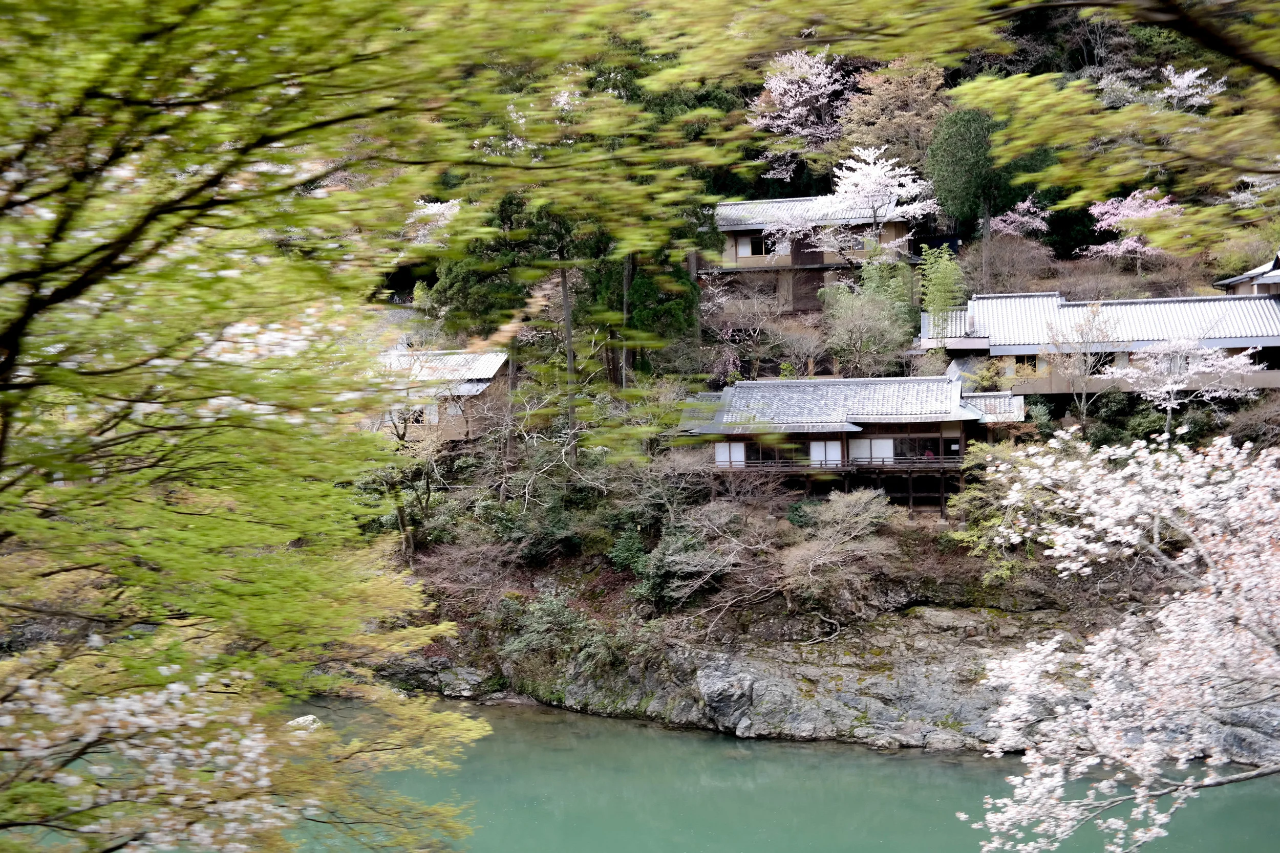 SAM_1724(2).jpg