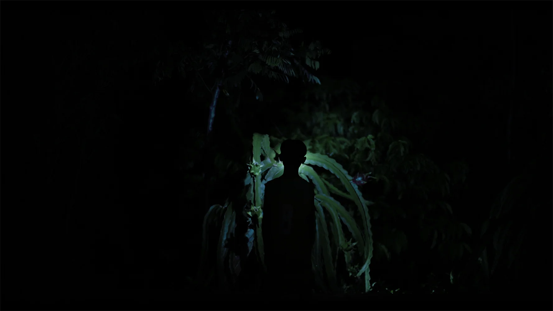artlabor_video still 1 copy.jpg