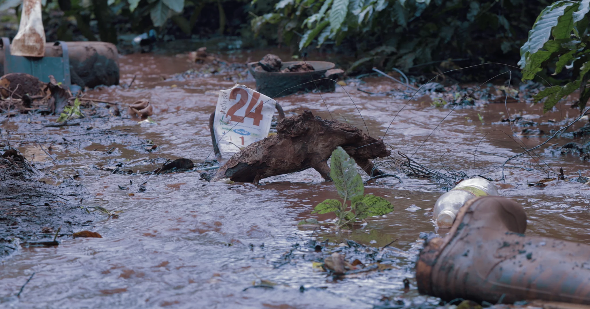 drowningdew_dead.jpg