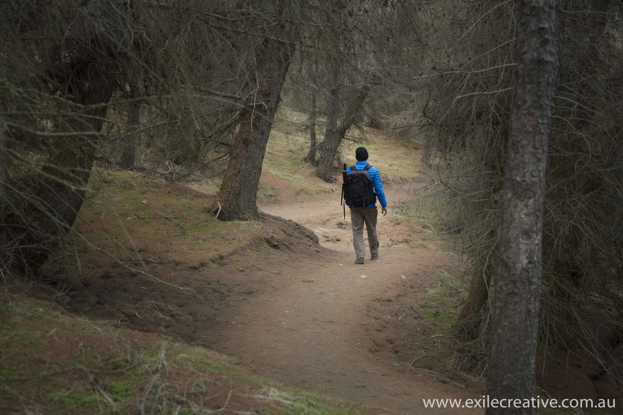The vegetation changes as we get lower. Canon 5Dmiii, 24-105L IS @ 55mm, ISO800, f/5.6, 1/125s