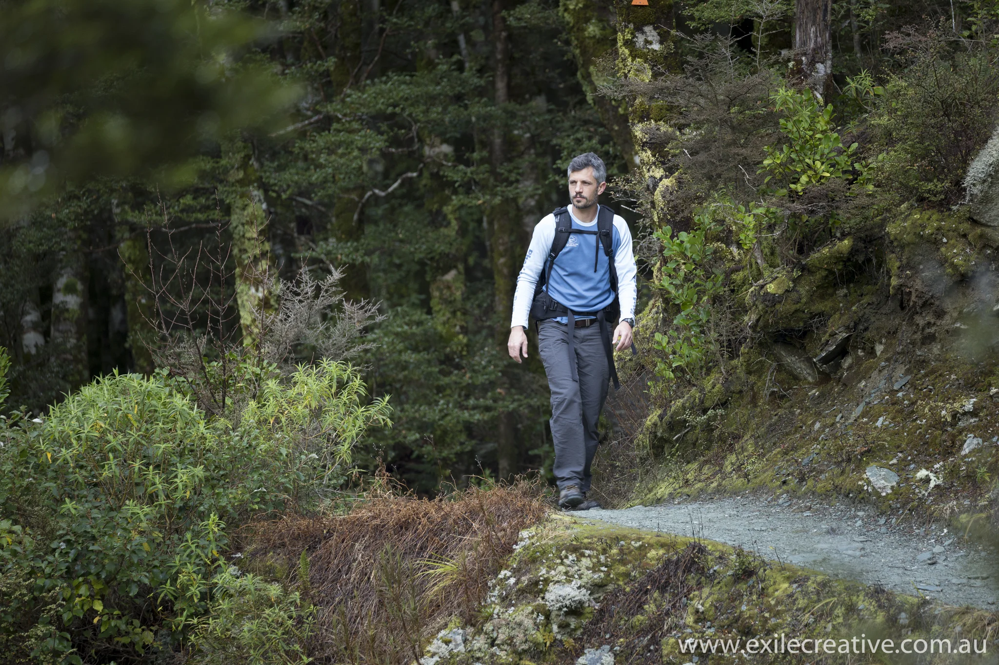 On the Rob Roy Glacier Track Canon 5Dmiii, 100-400L ii IS @ 321mm, ISO640, f/5.6, 1/80s