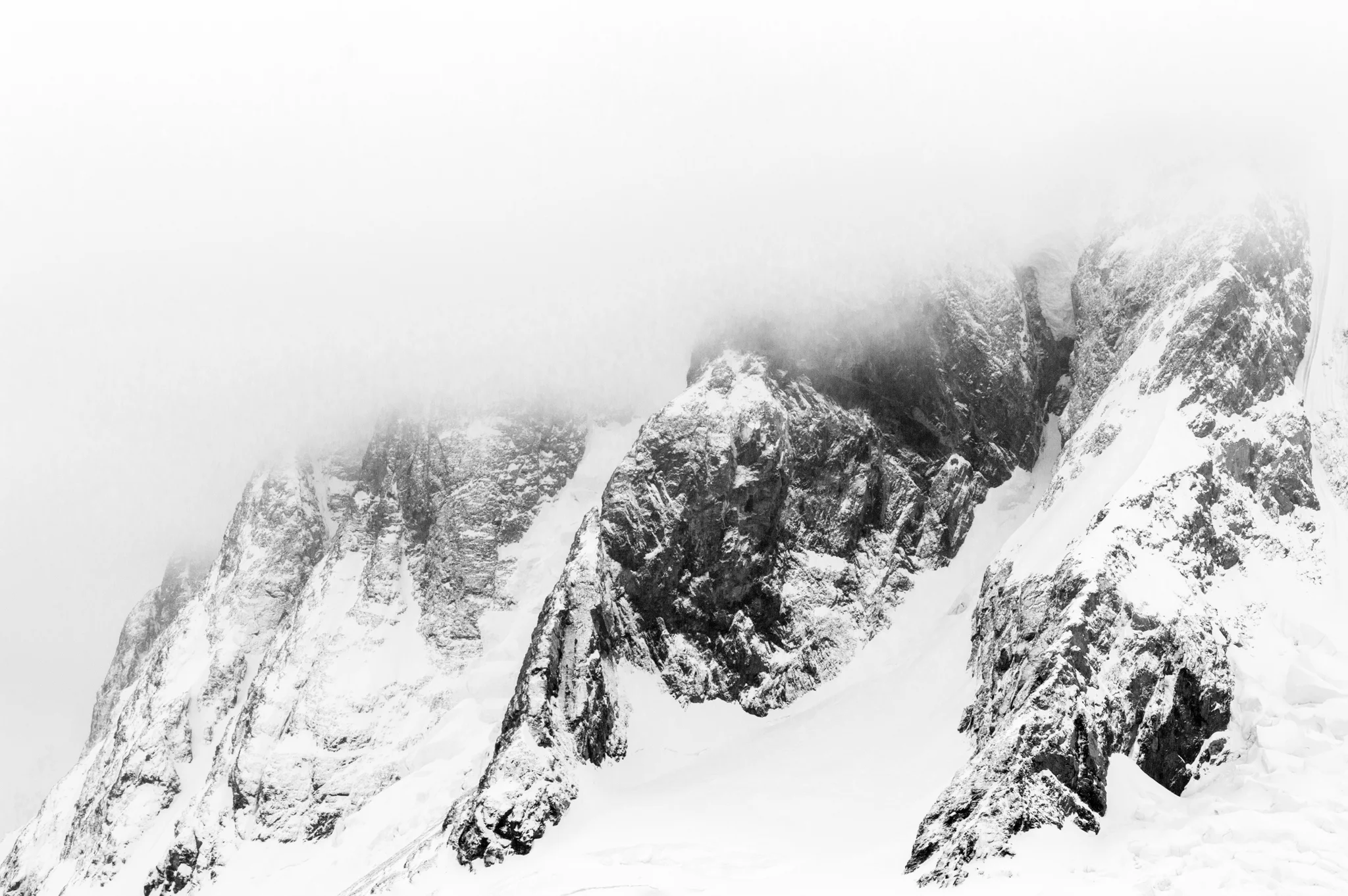 Mountain Mist Phil-13.jpg