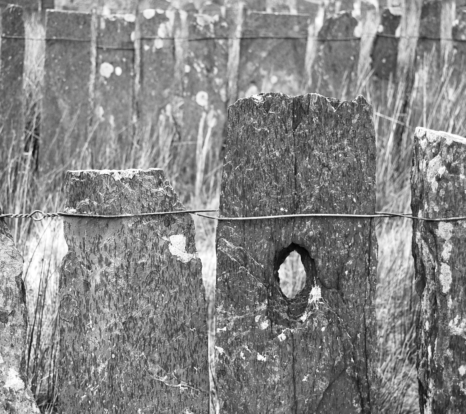 slate fence wales tactile walk carrie dickens