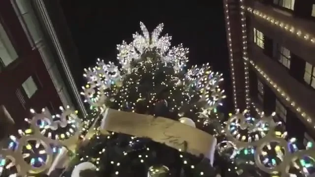 Dolce & Gabbana x Harrods