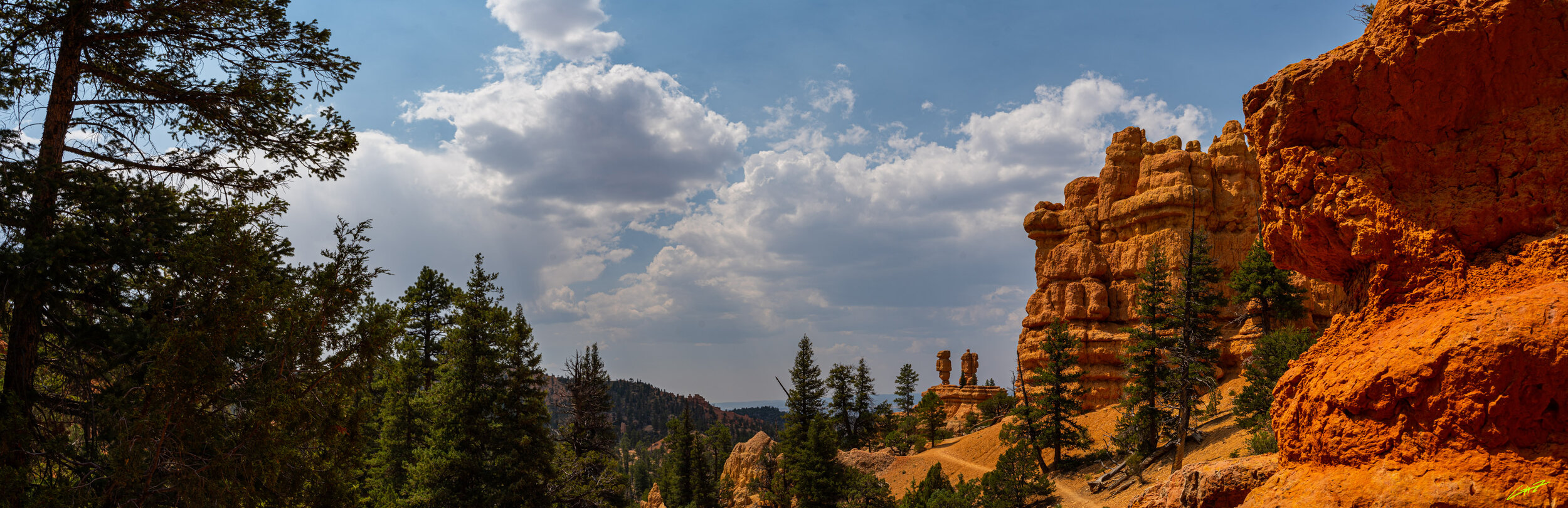 Bryce2020_Signed2_gnzophoto--3.jpg