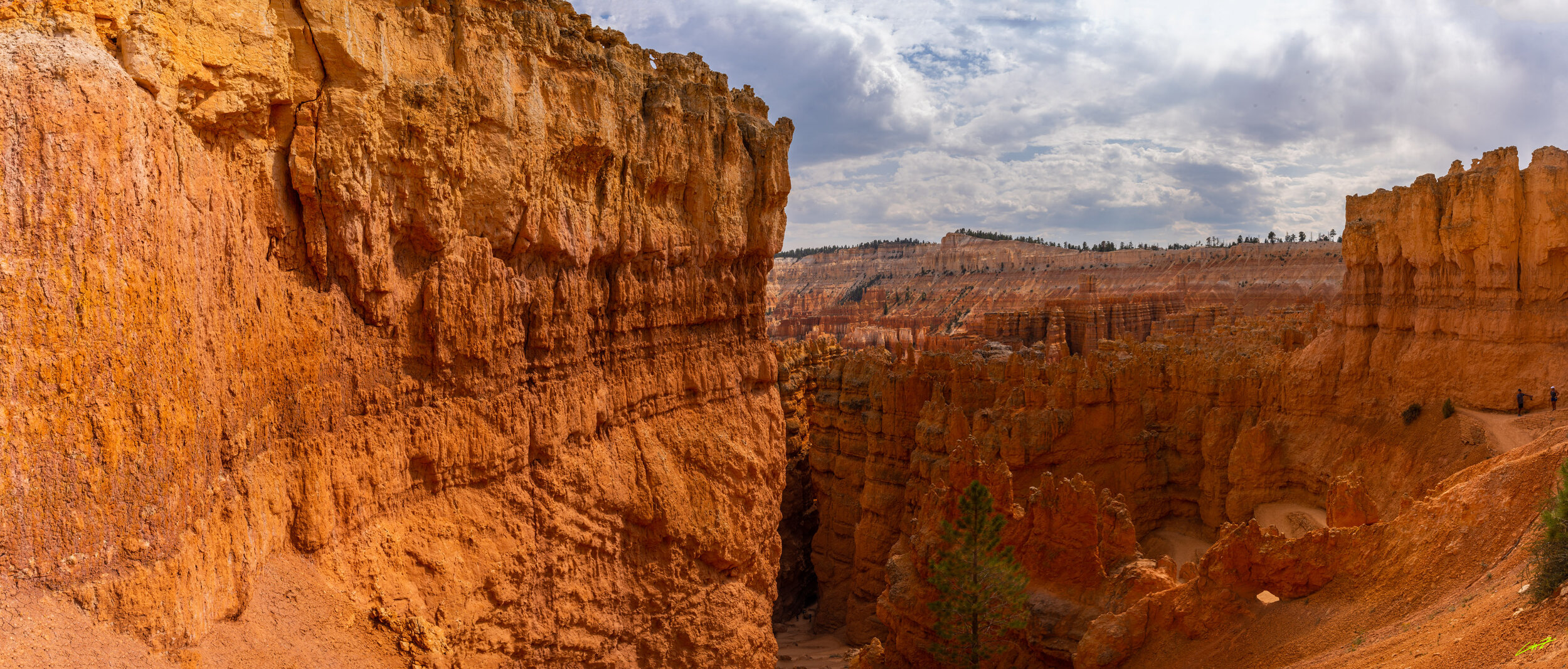 Bryce2020_Signed5_gnzophoto--14.jpg