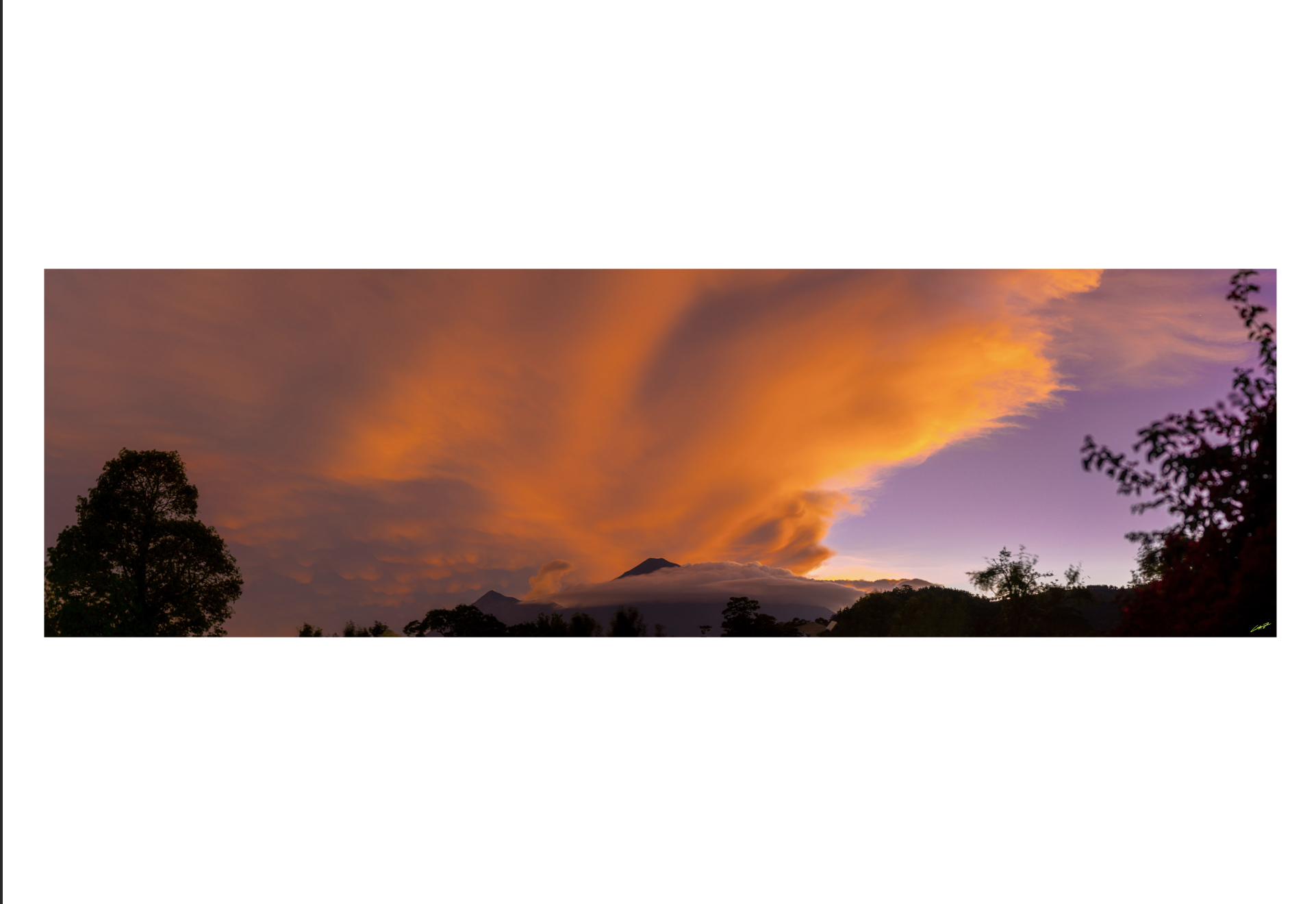 Screen Shot 2021-06-16 at 11.06.20 AM.png