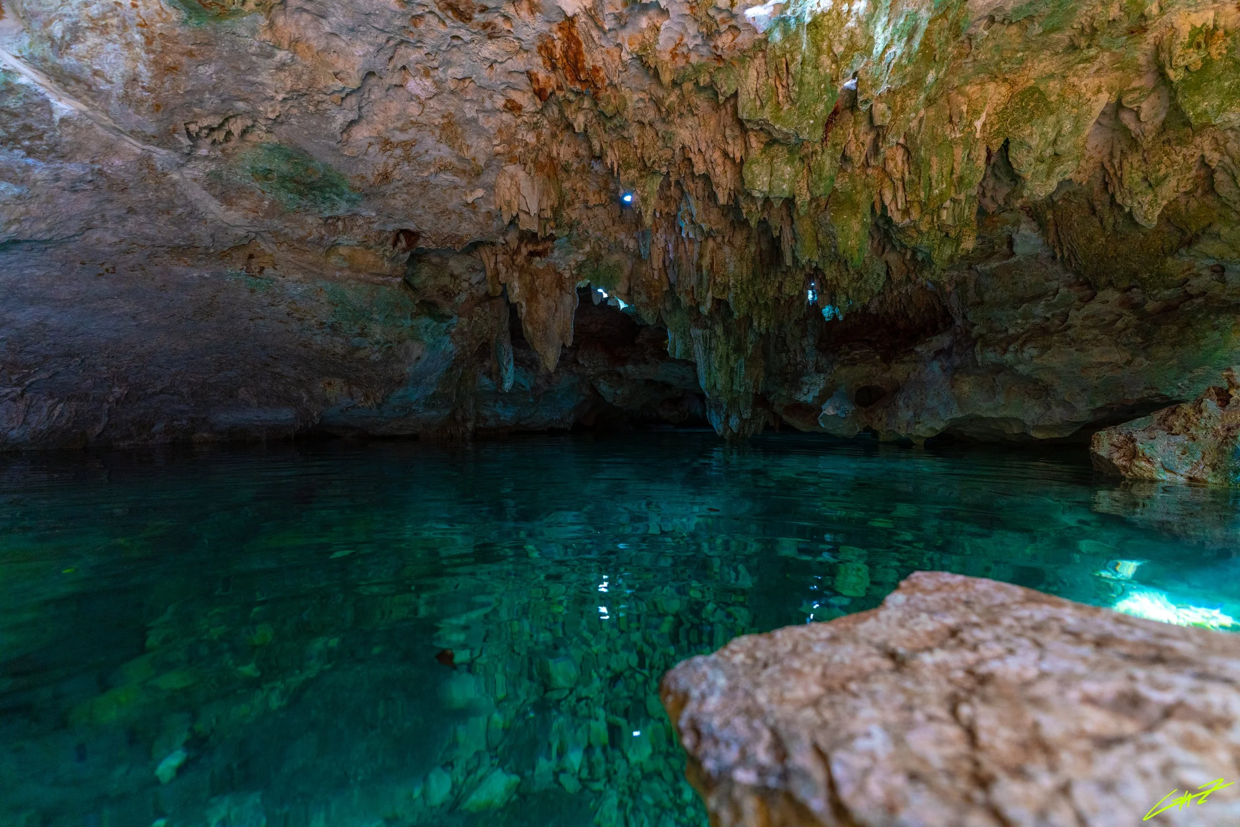 Cenote20202SIGNED_gnzphoto-01998.jpg