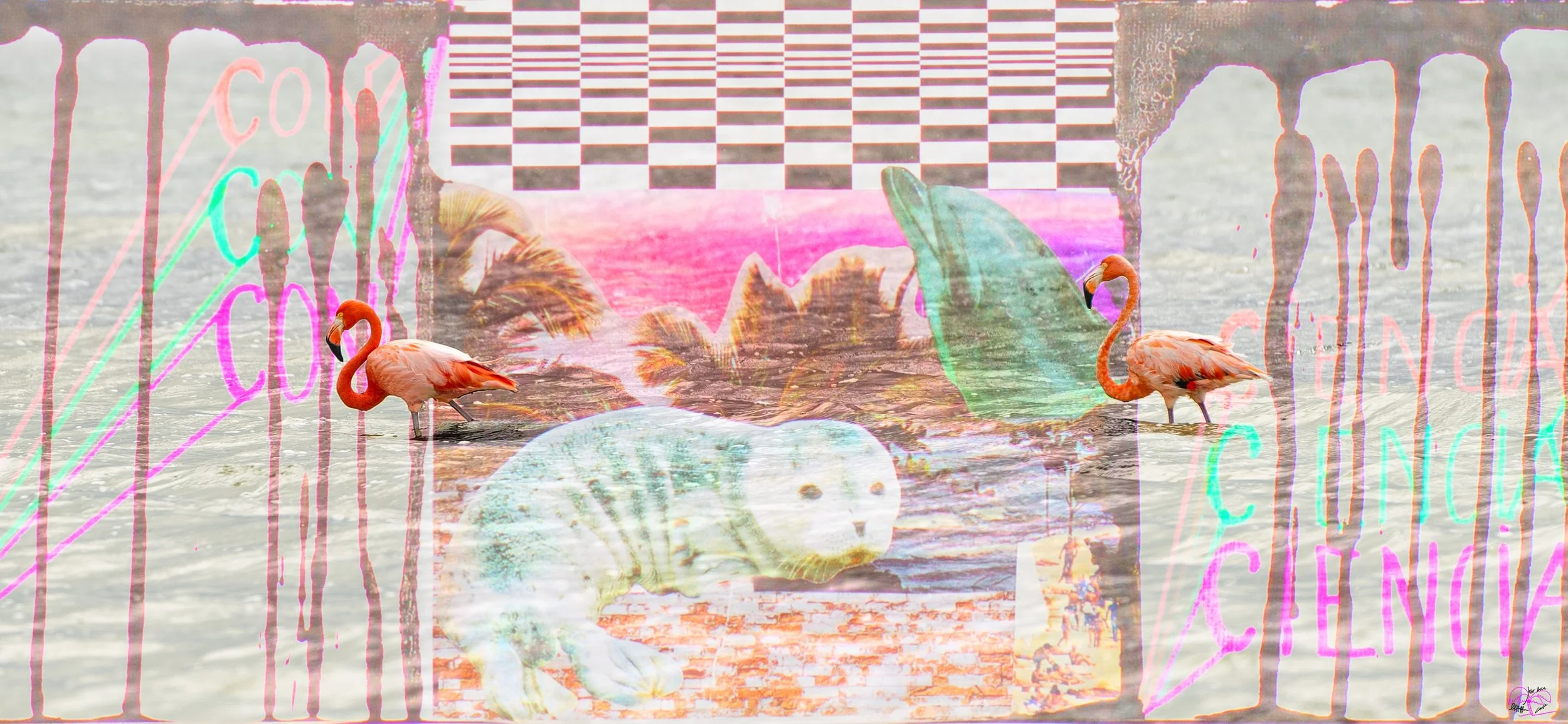 TROPICAL STORM_NEWSIG.jpg