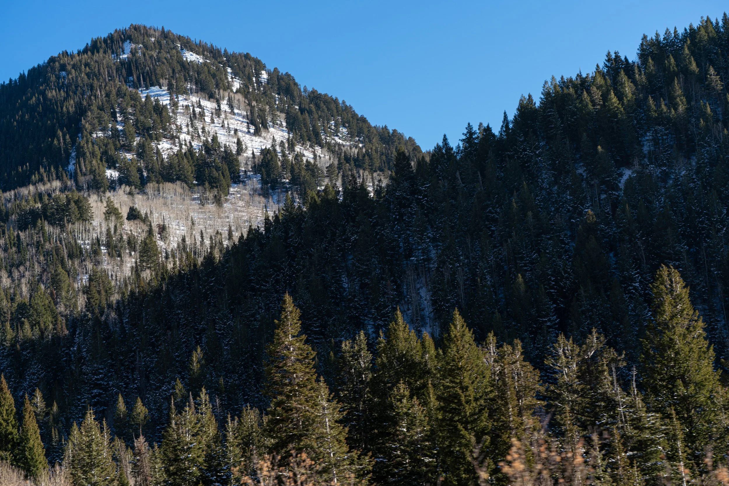 snowbirdTrip_GNZPHOTO-06104.jpg